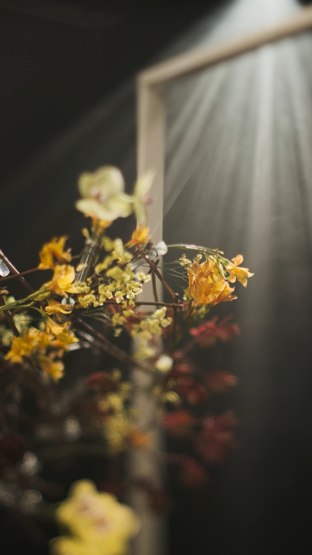 Sunlight rays streaming through a window illuminate vibrant yellow and orange flowers in a dark, moody setting.