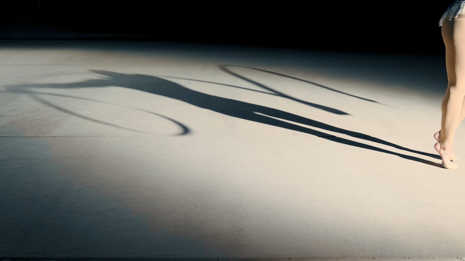 Dramatic shadow of rhythmic gymnast cast on floor under spotlight during performance.
