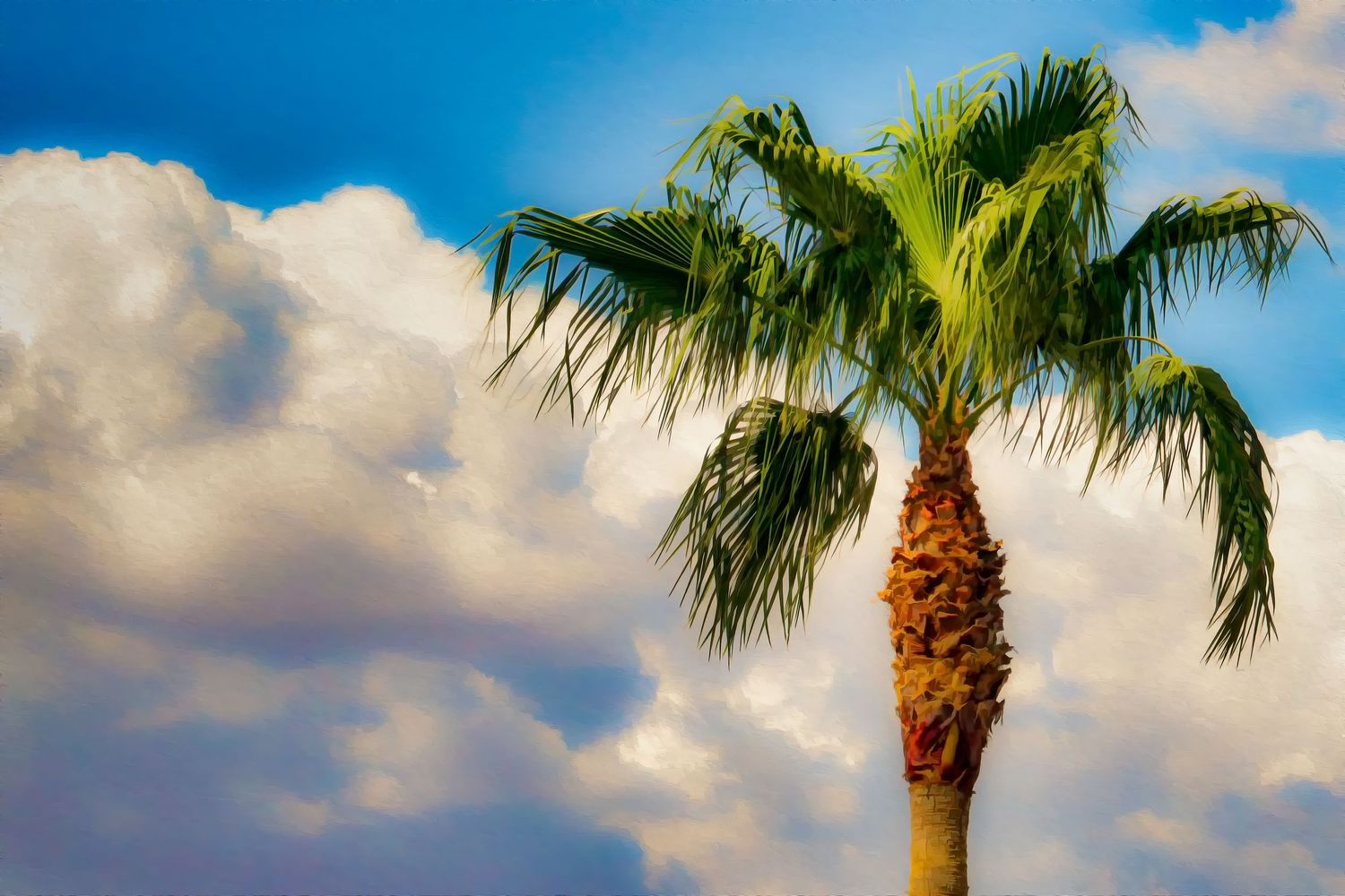 A tall palm tree with lush green fronds against a bright blue sky with fluffy white clouds.