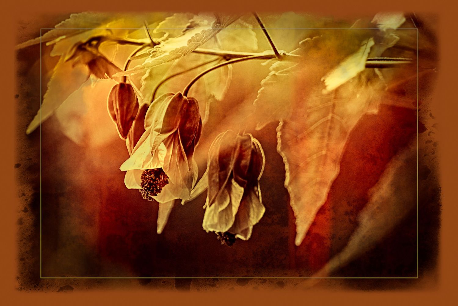 Dried seed pods hanging on autumn branches with warm golden and red textured artistic background.