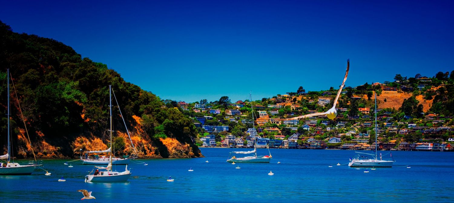 Colorful sailboats moored in a deep blue harbor bay surrounded by lush green hillside homes.