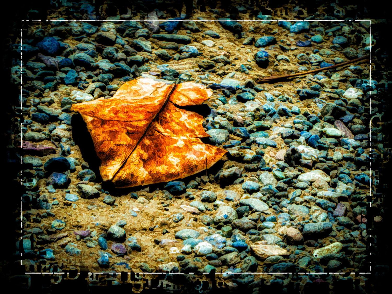 Vibrant orange autumn leaf resting on colorful blue and grey pebbles with a decorative border.