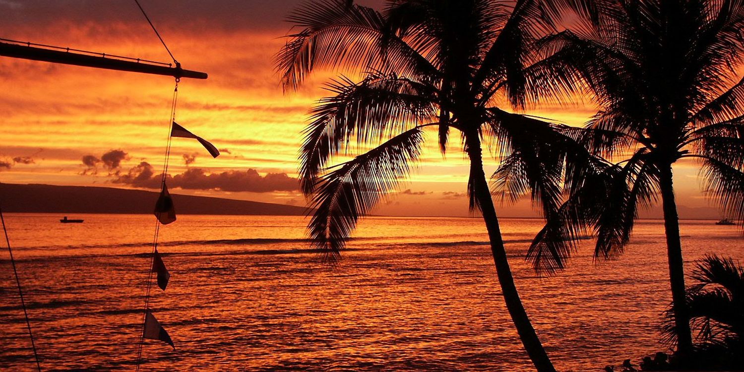 Stunning tropical sunset with silhouetted palm trees and boats over a golden ocean in Maui, Hawaii.