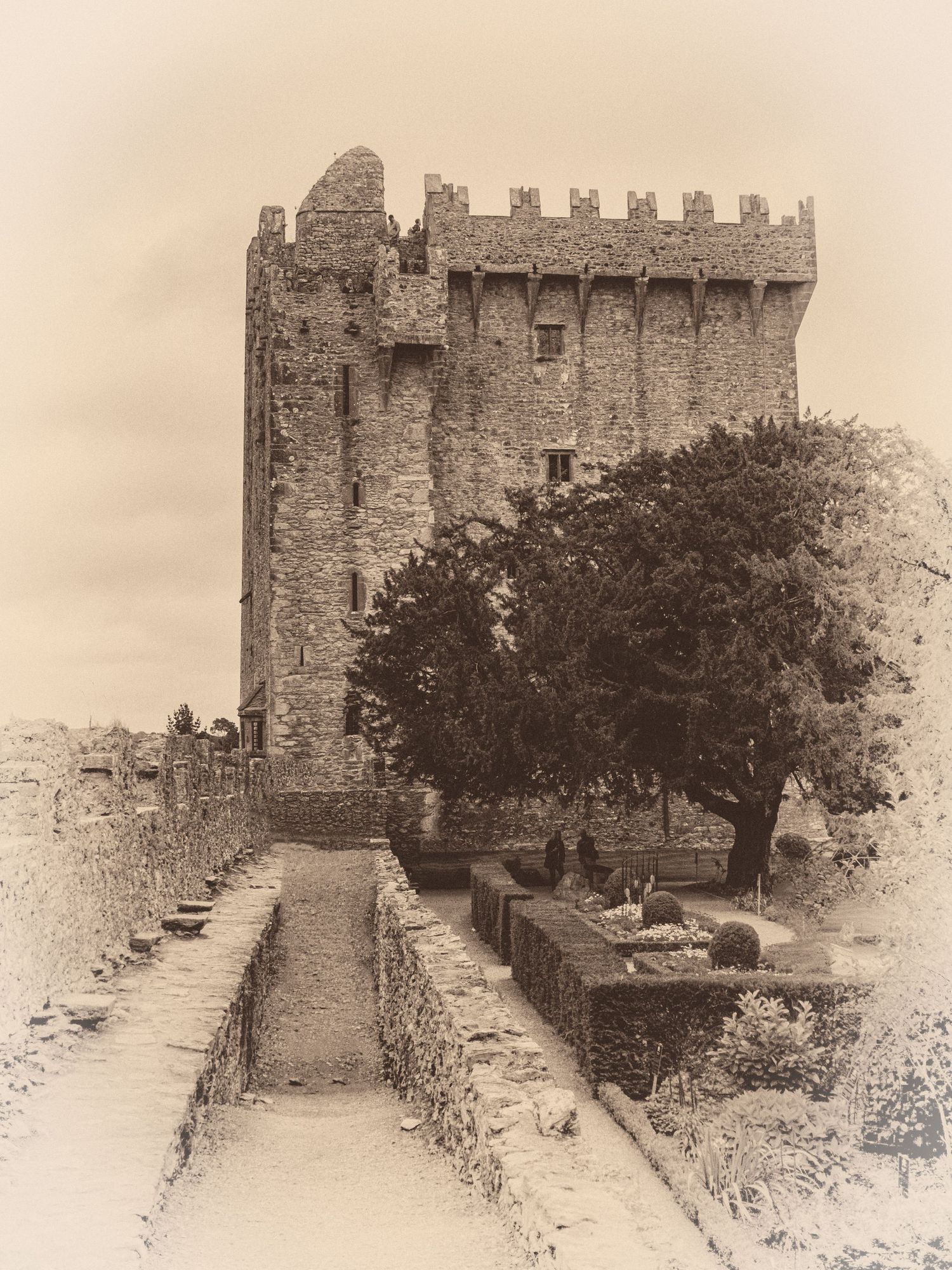 Sepia-toned image of historic Blarney Castle tower surrounded by trees and stone gardens, Ireland.