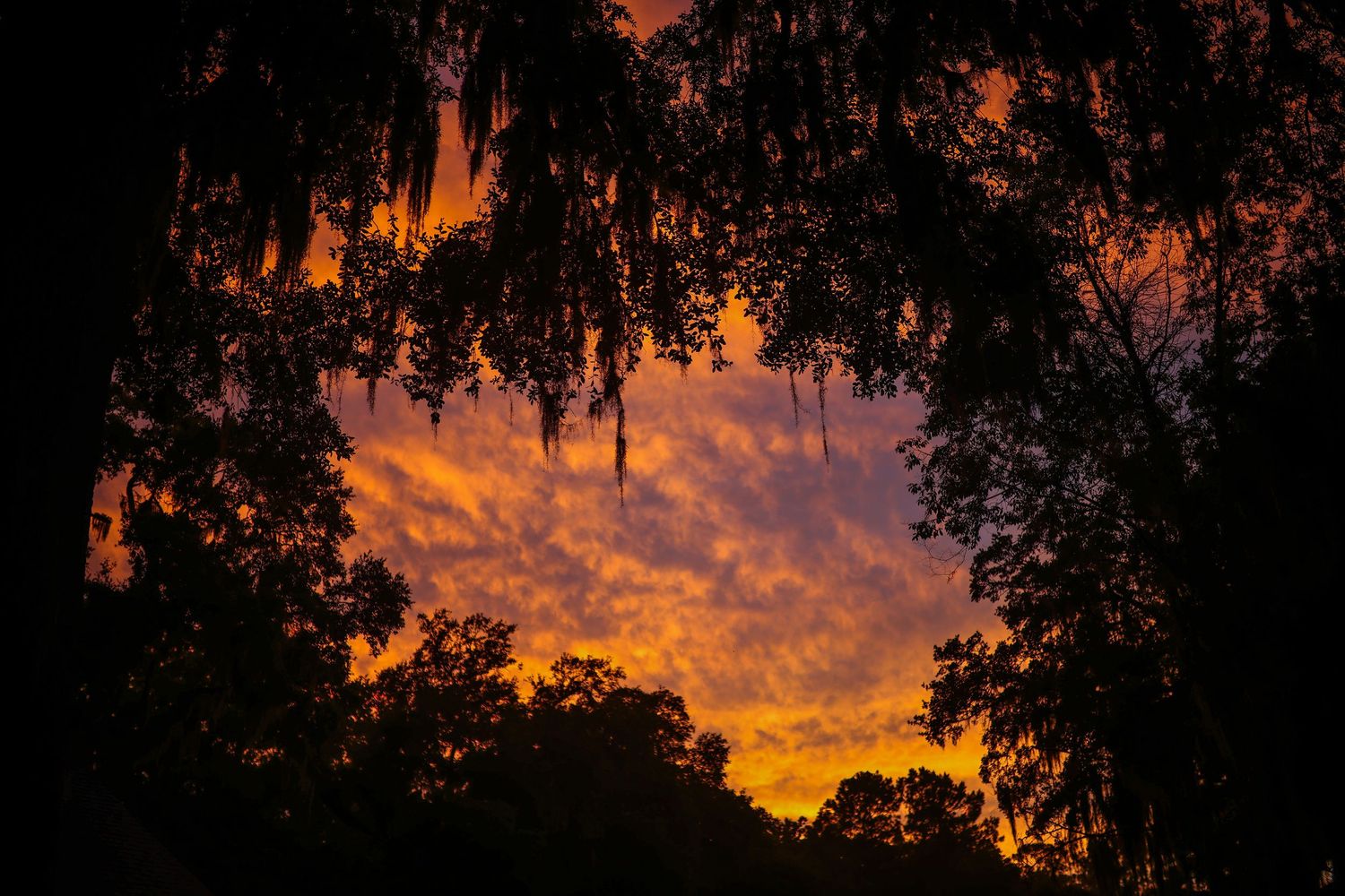Georgia sunset