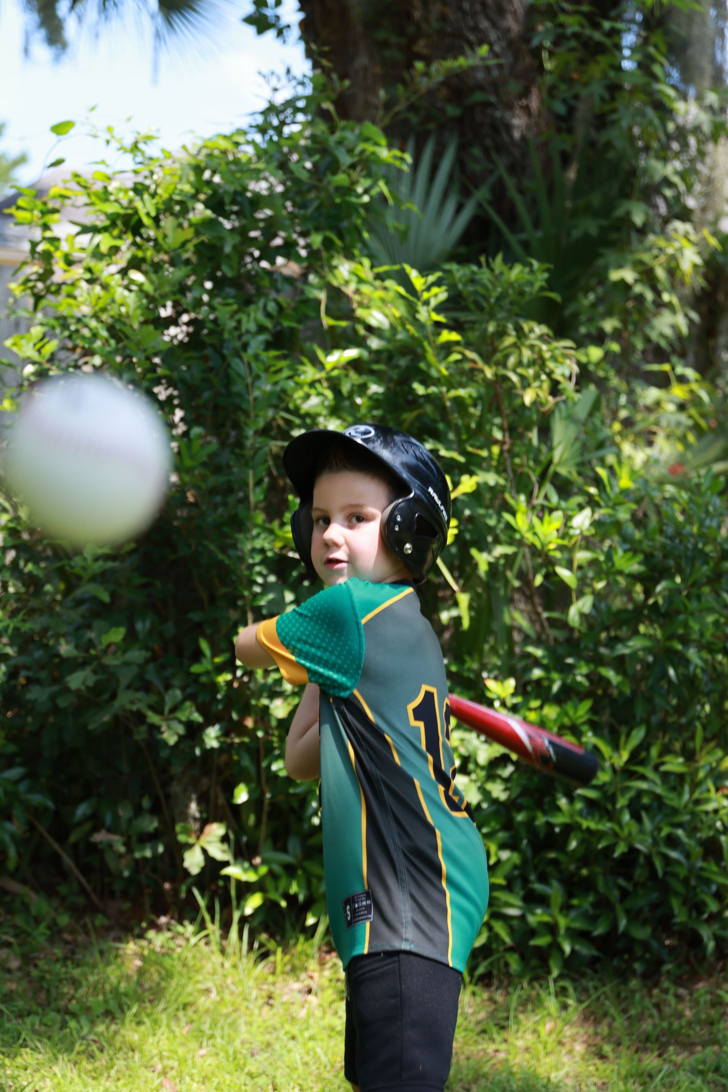 Teeball champion