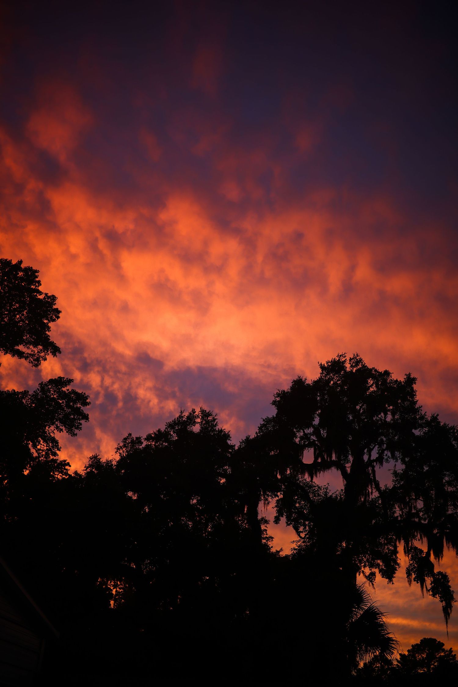Georgia sunset