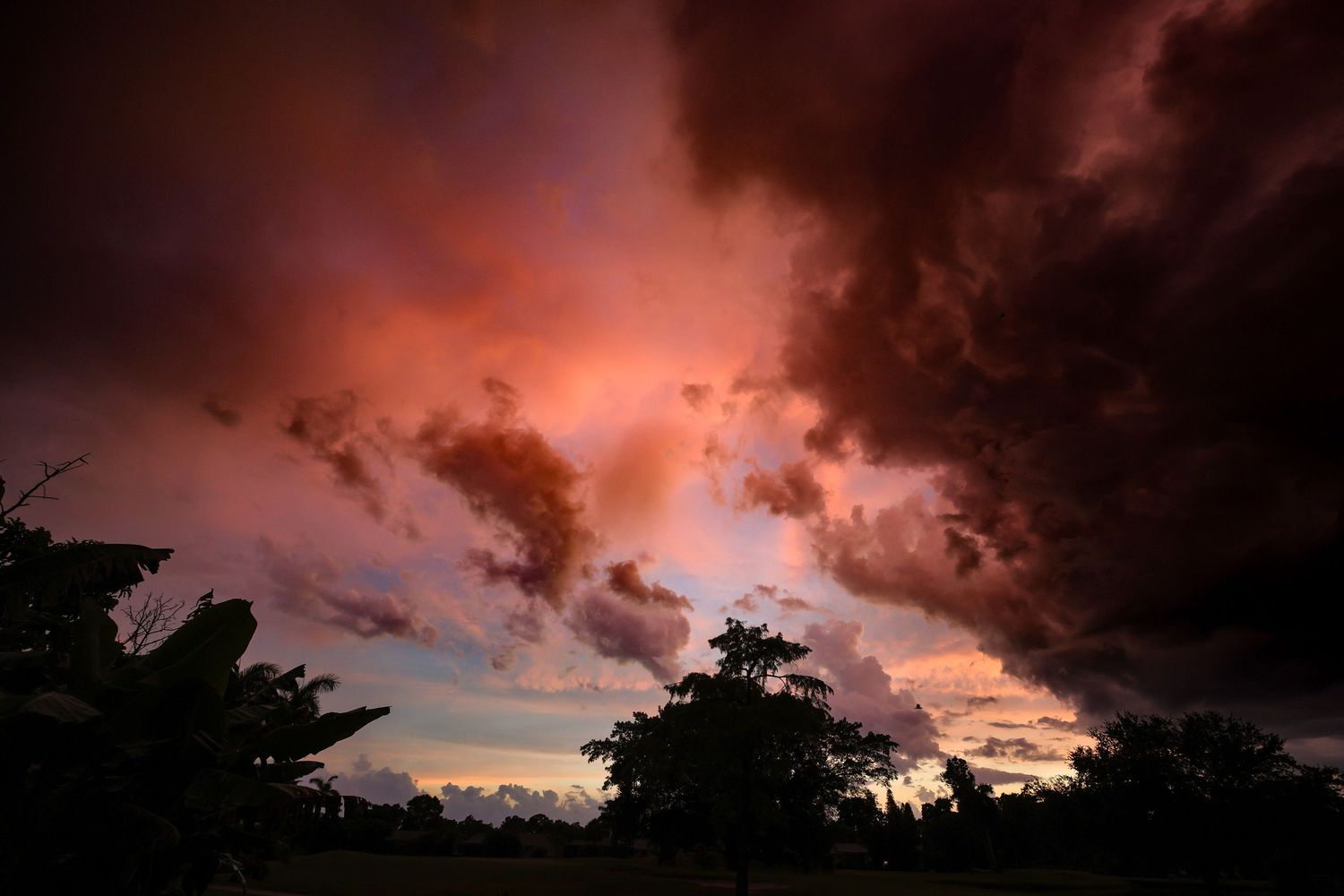 Florida Sunset