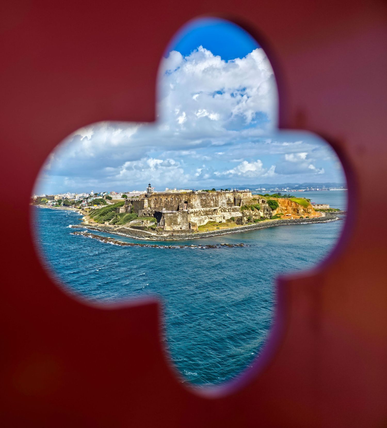Cruise photo