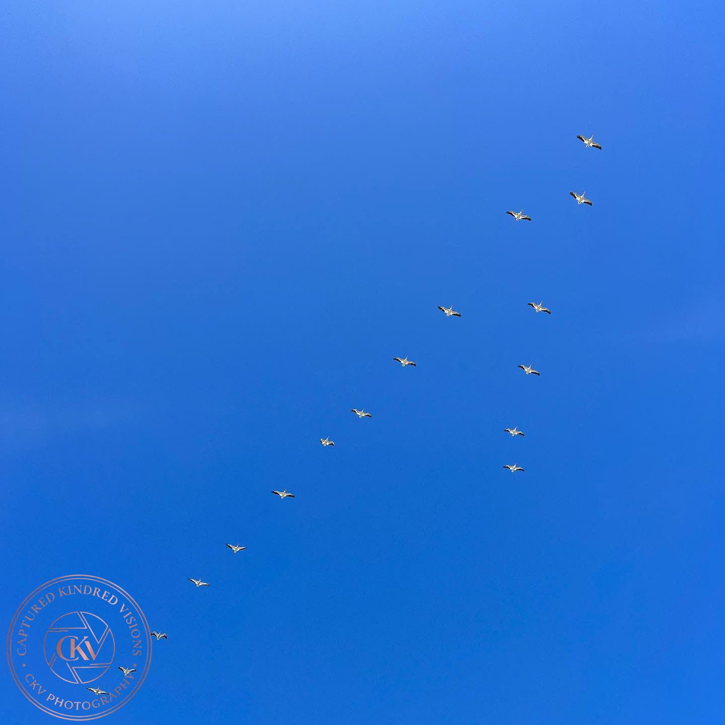 9.6.2026