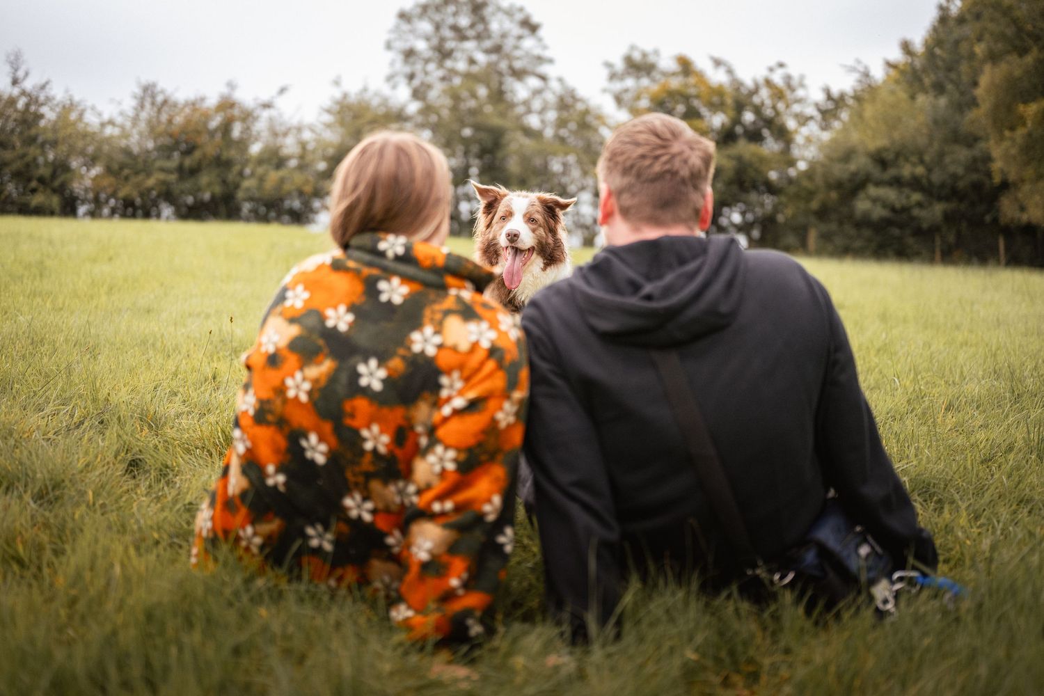 A couple sits together on green grass wrapped in a floral blanket with their happy Border Collie dog.