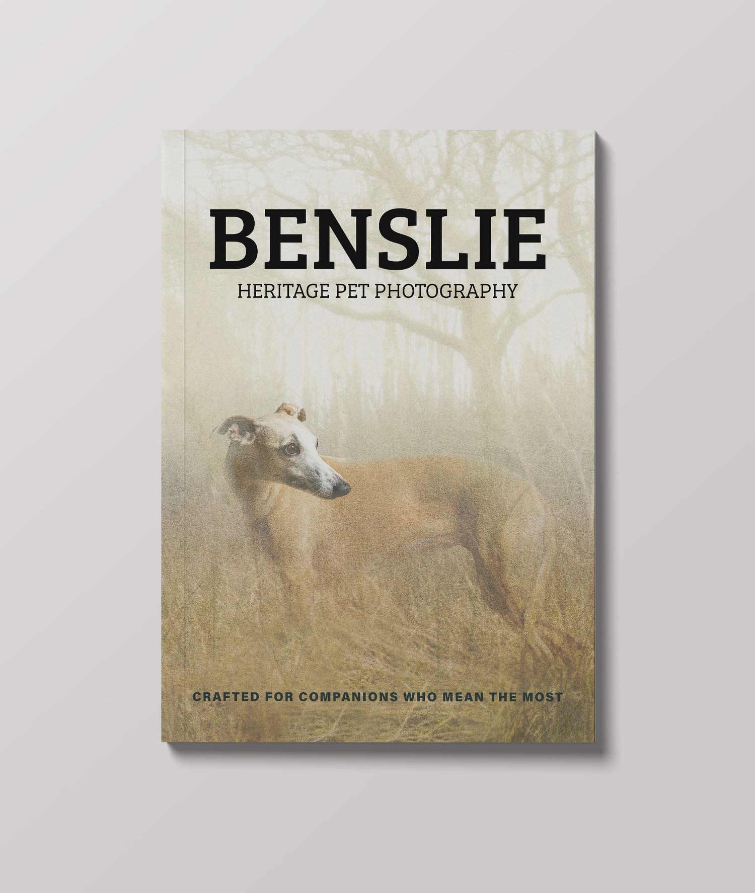 Benslie Heritage Pet Photography book cover featuring a fawn whippet standing in misty golden grass beneath bare trees.