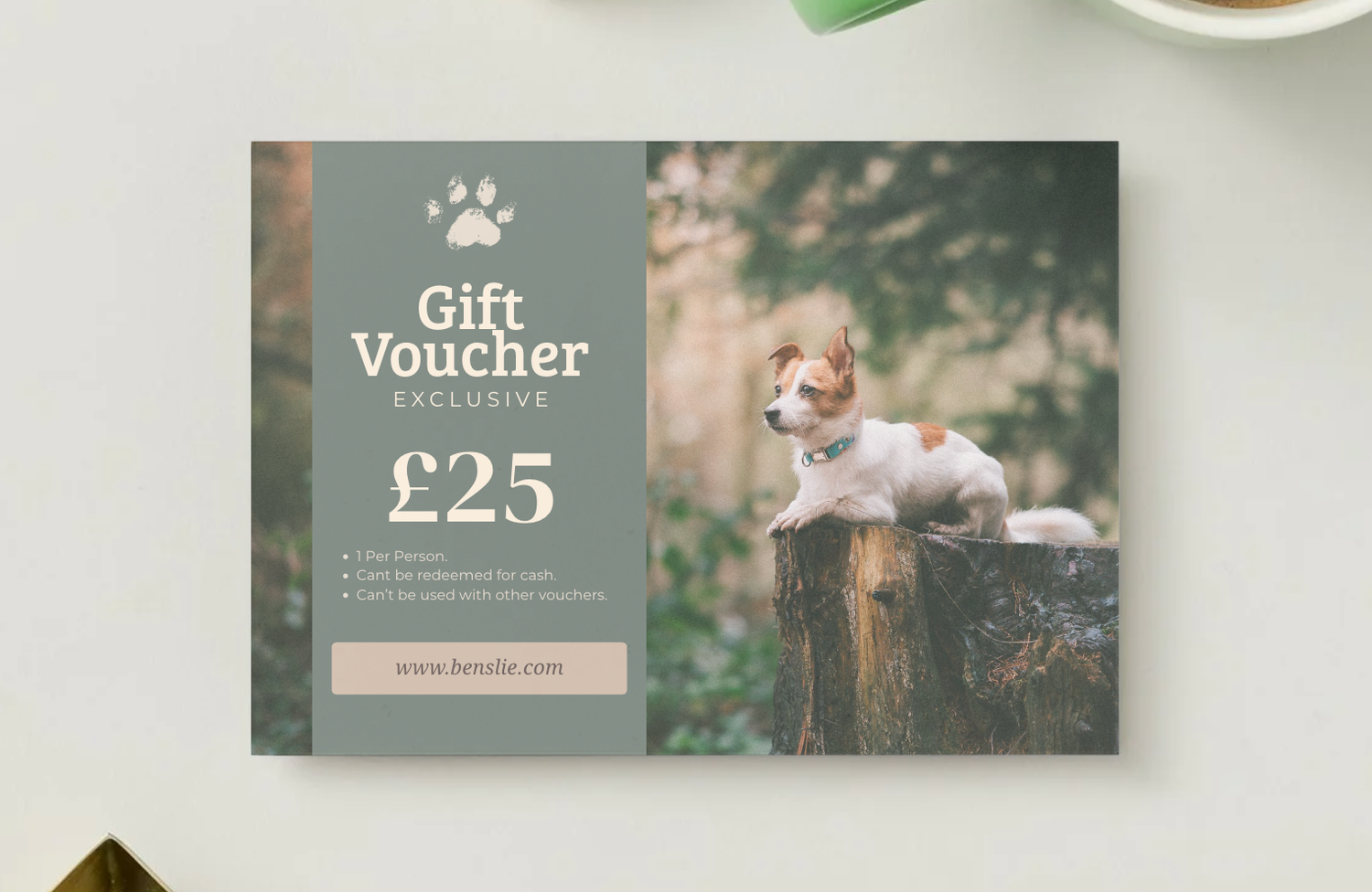 A £25 exclusive pet gift voucher featuring a cute dog sitting on a tree stump in a natural outdoor setting.