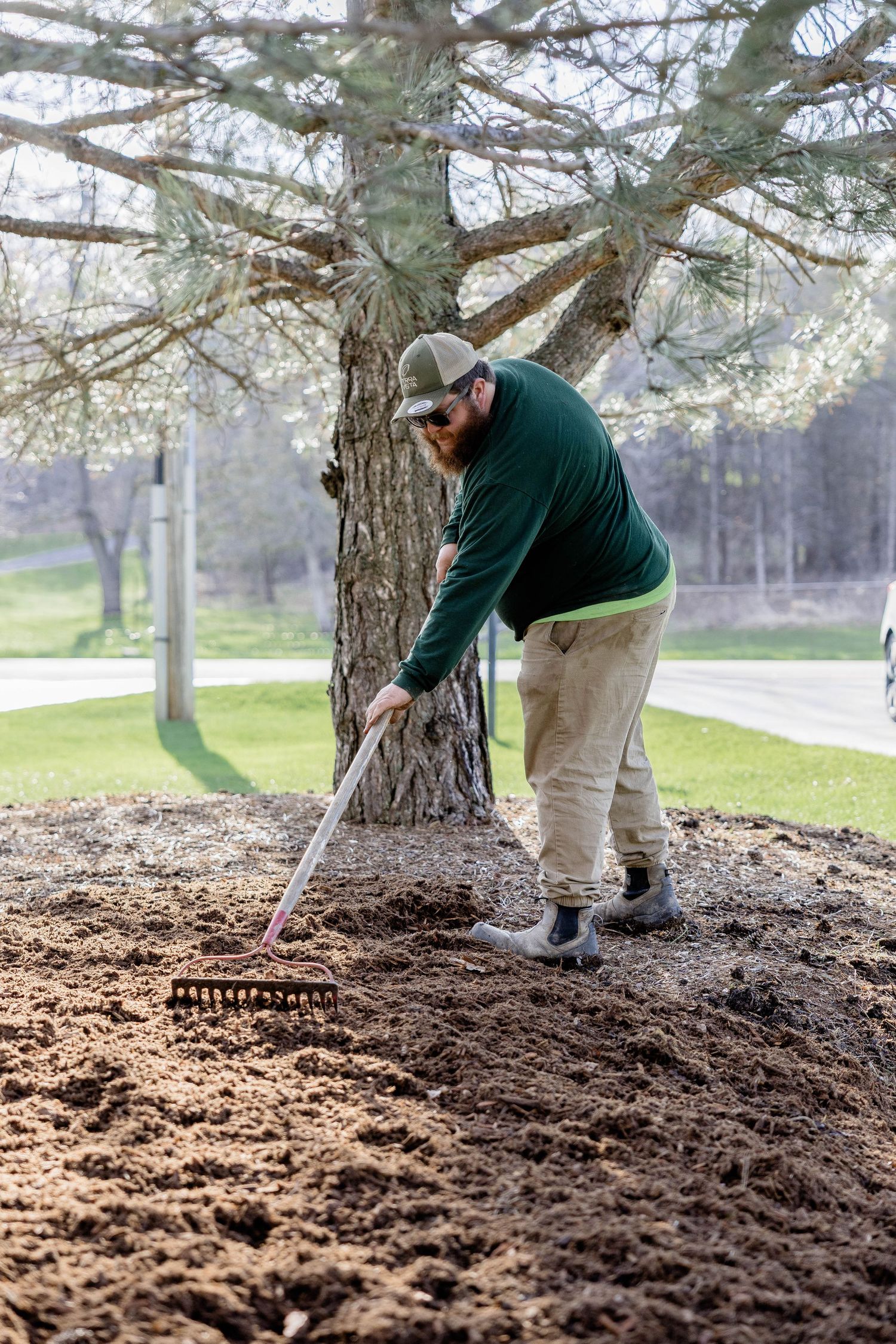 Landscaper raking fresh mulch around a tree base in a park, wearing a green shirt and cap.