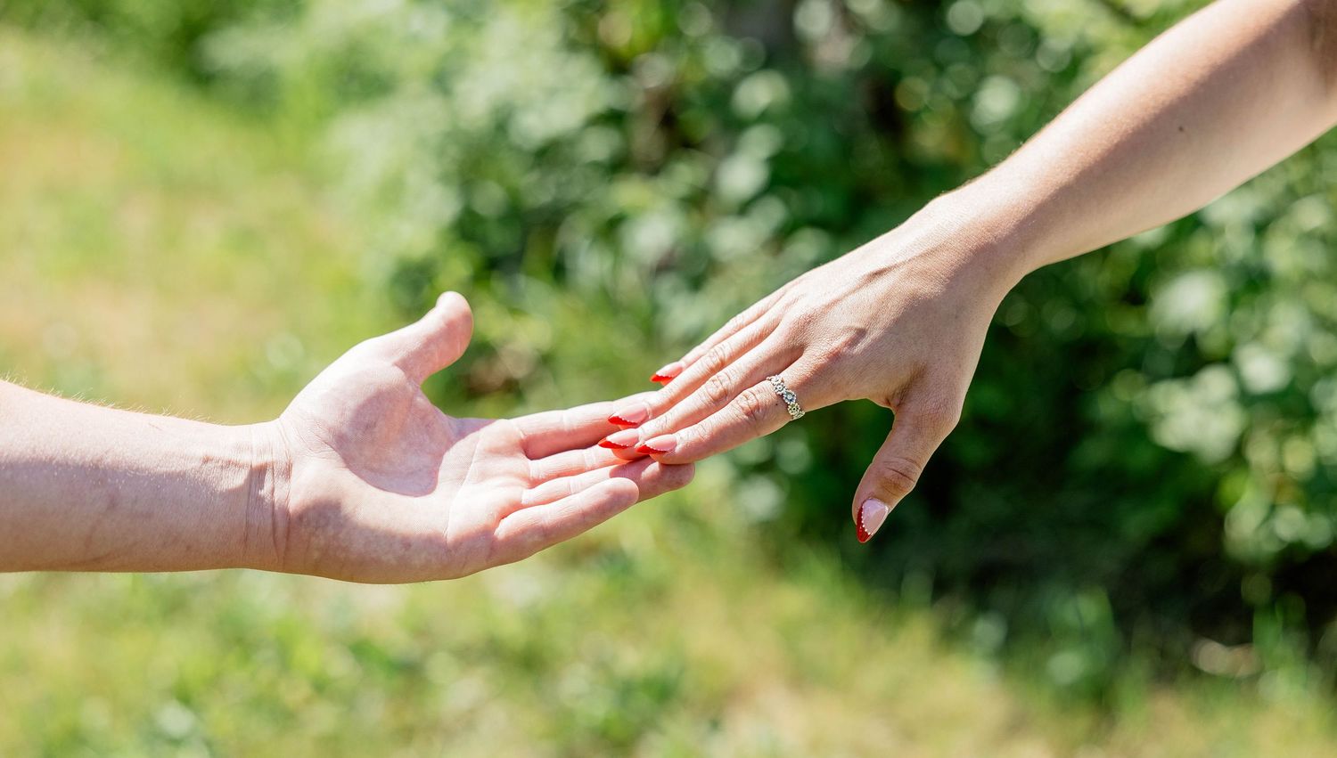 Two hands reaching toward each other outdoors, with a green leafy background in soft sunlight.