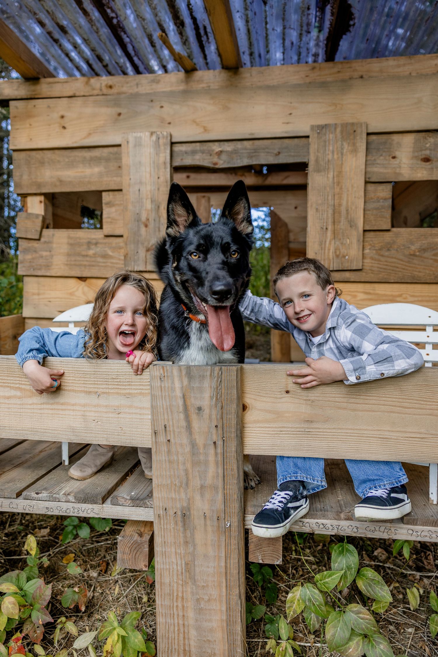 Two happy children and a black German Shepherd dog peek over a wooden fence in a rustic outdoor playhouse.
