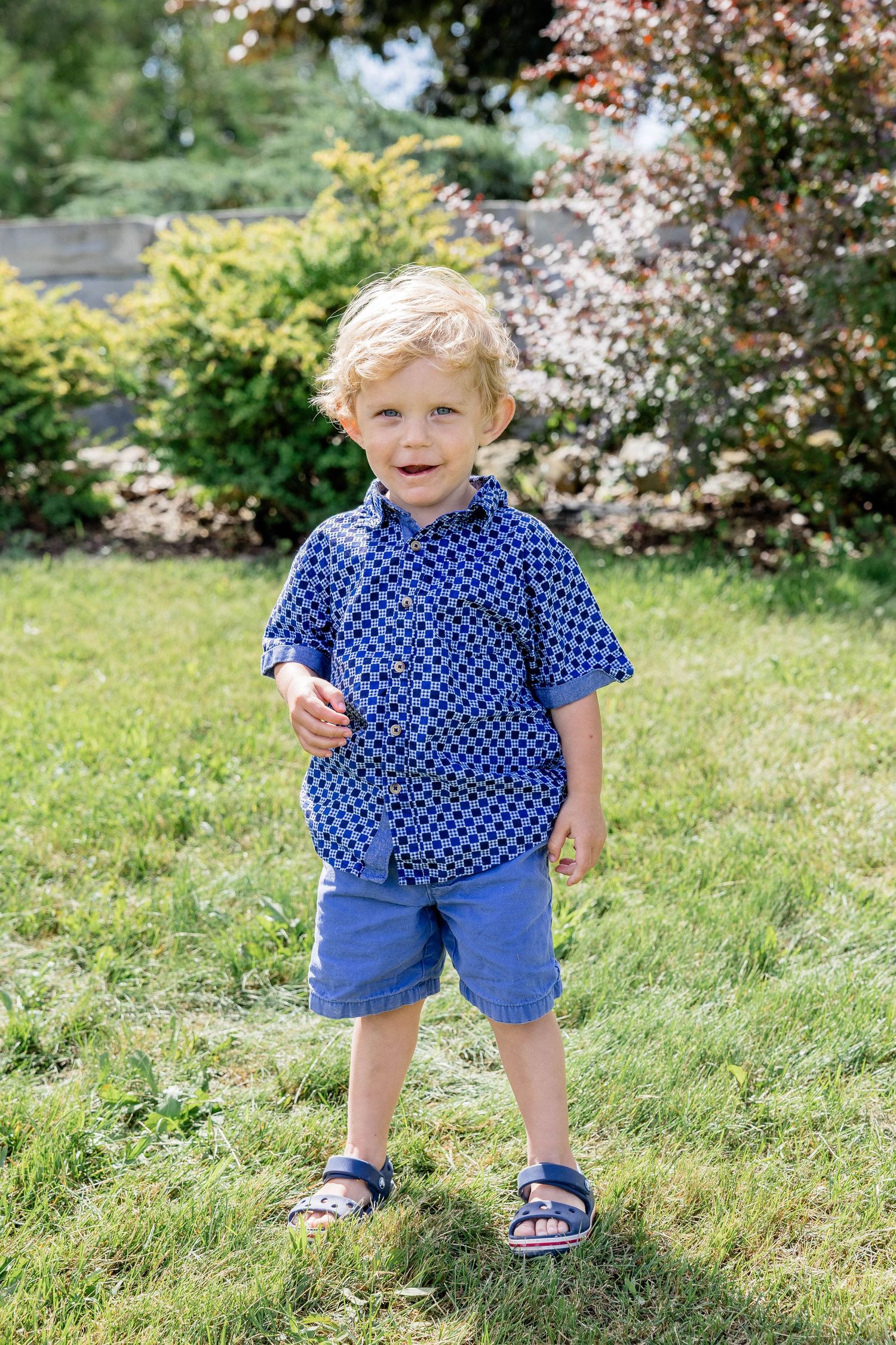 Cute blond toddler boy in blue patterned shirt and shorts standing on green grass in sunny garden.