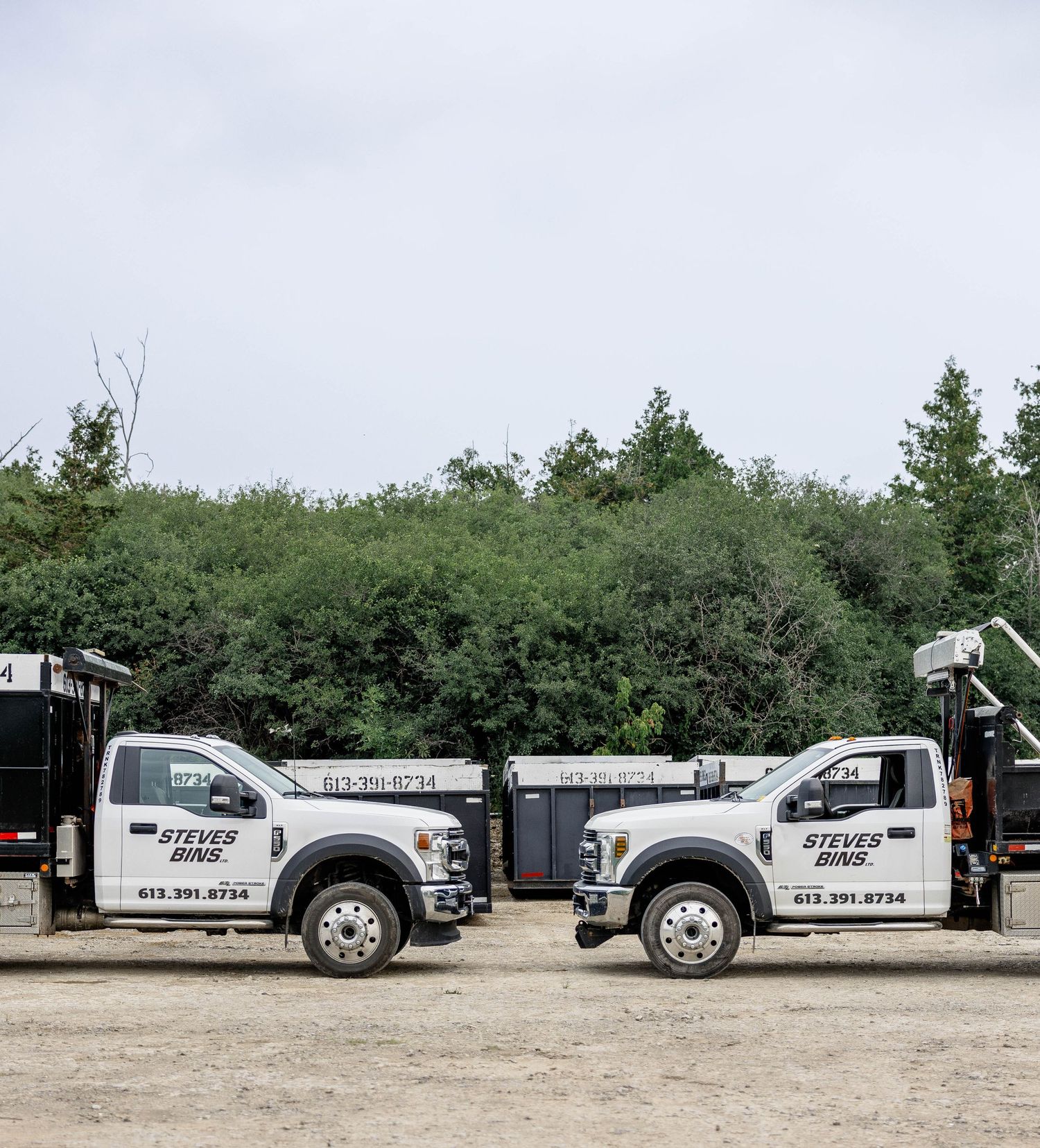 Two Steve's Bins white service trucks parked side by side outdoors with trees in the background.
