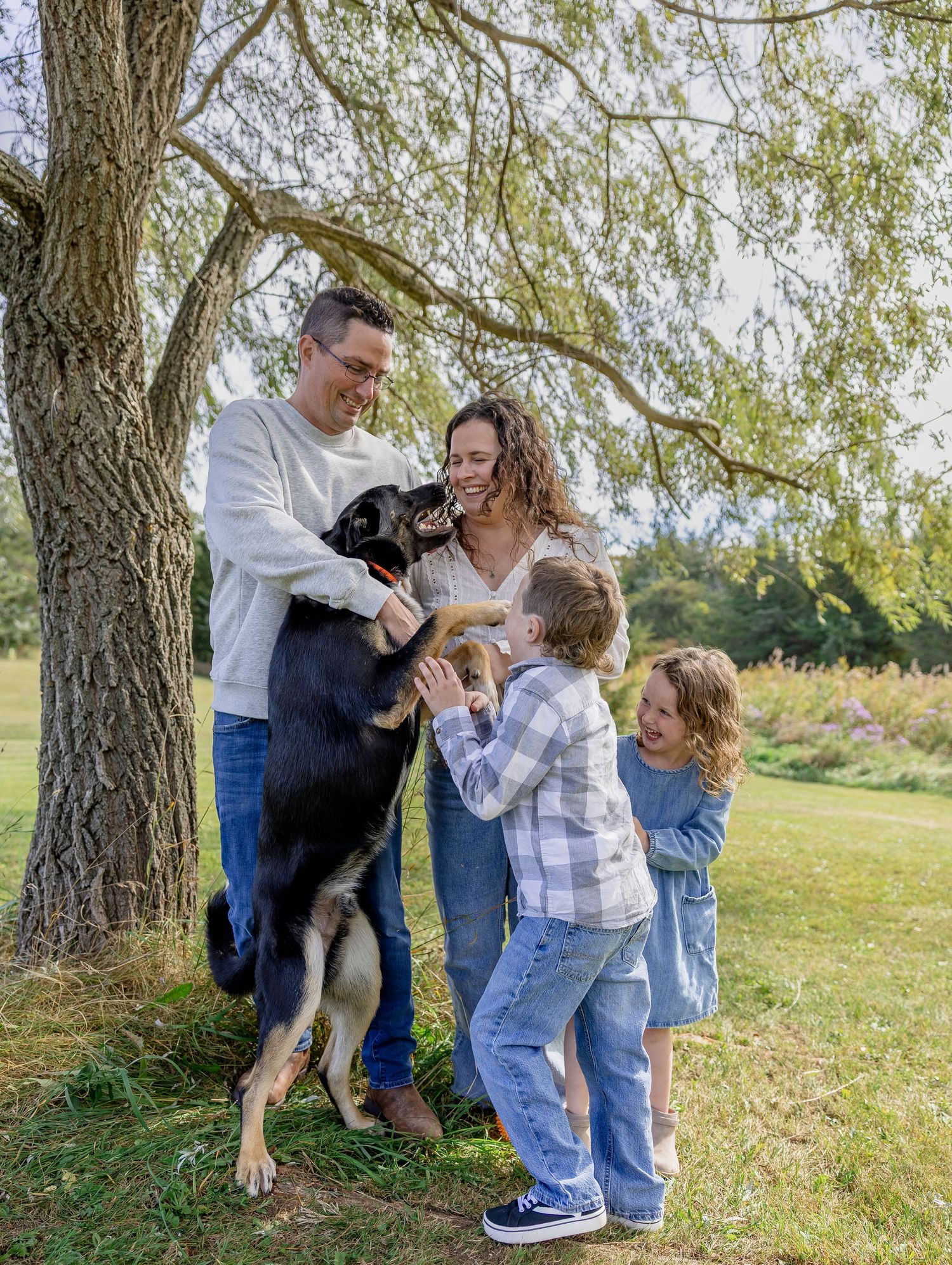 Family of four with a German Shepherd dog playing outdoors under a tree on a sunny day.