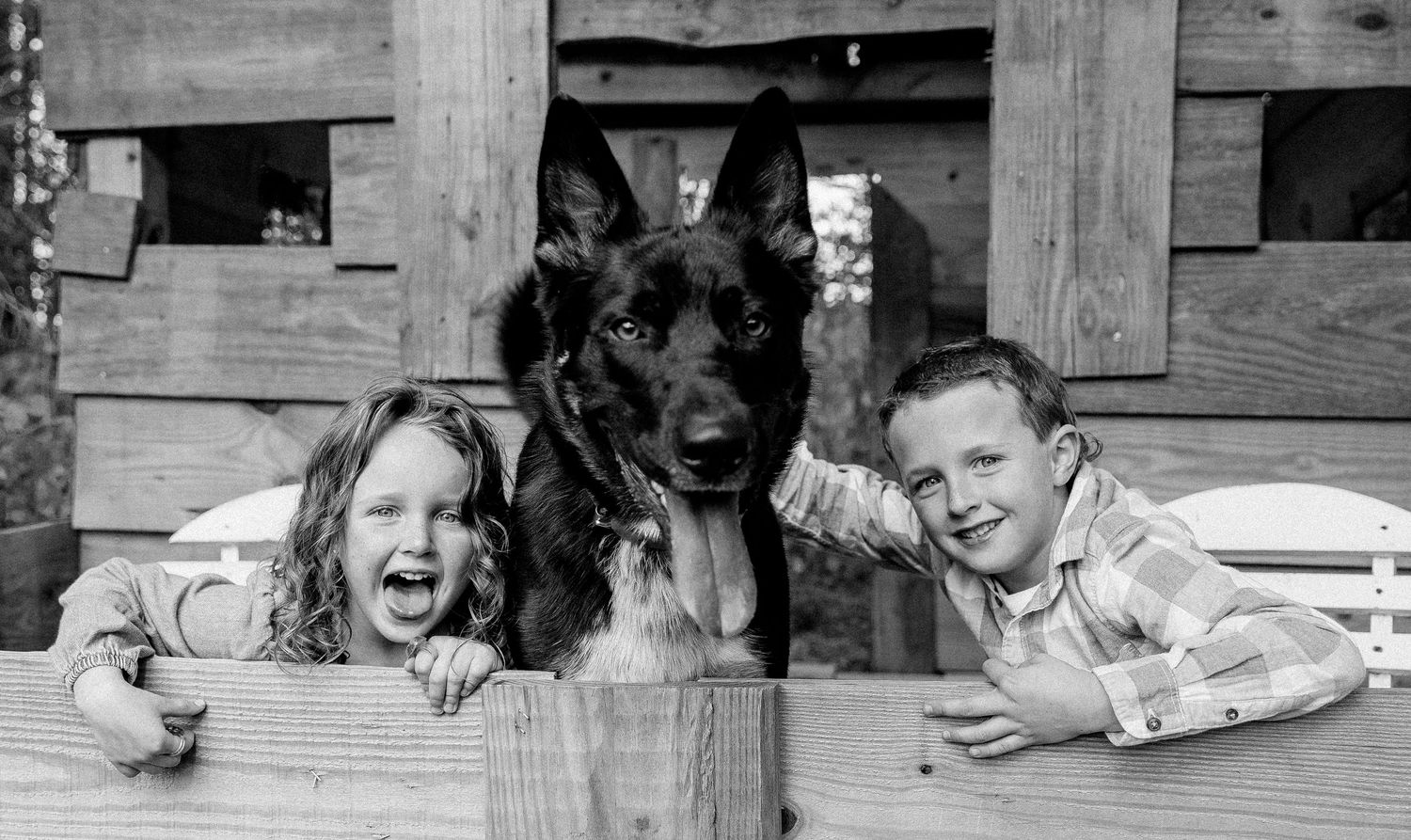 Two laughing children pose with a German Shepherd dog in a wooden playhouse in this black and white photo.