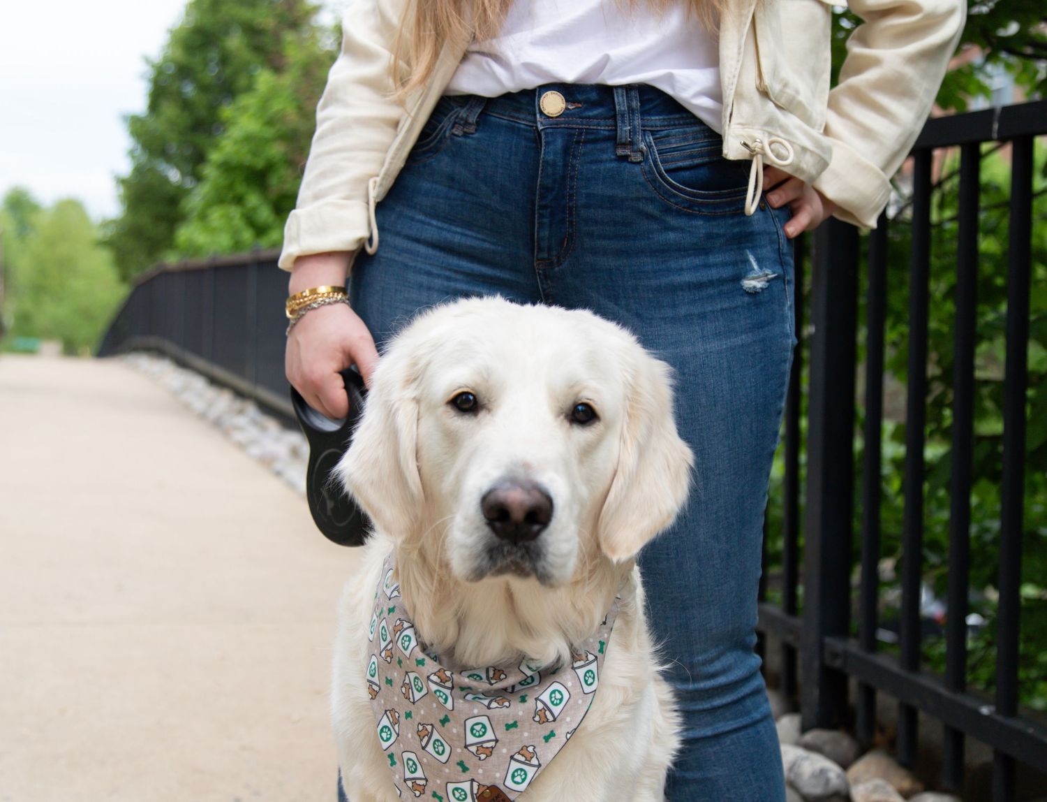 Golden retriever in a patterned bandana on a leash standing beside a woman in jeans.