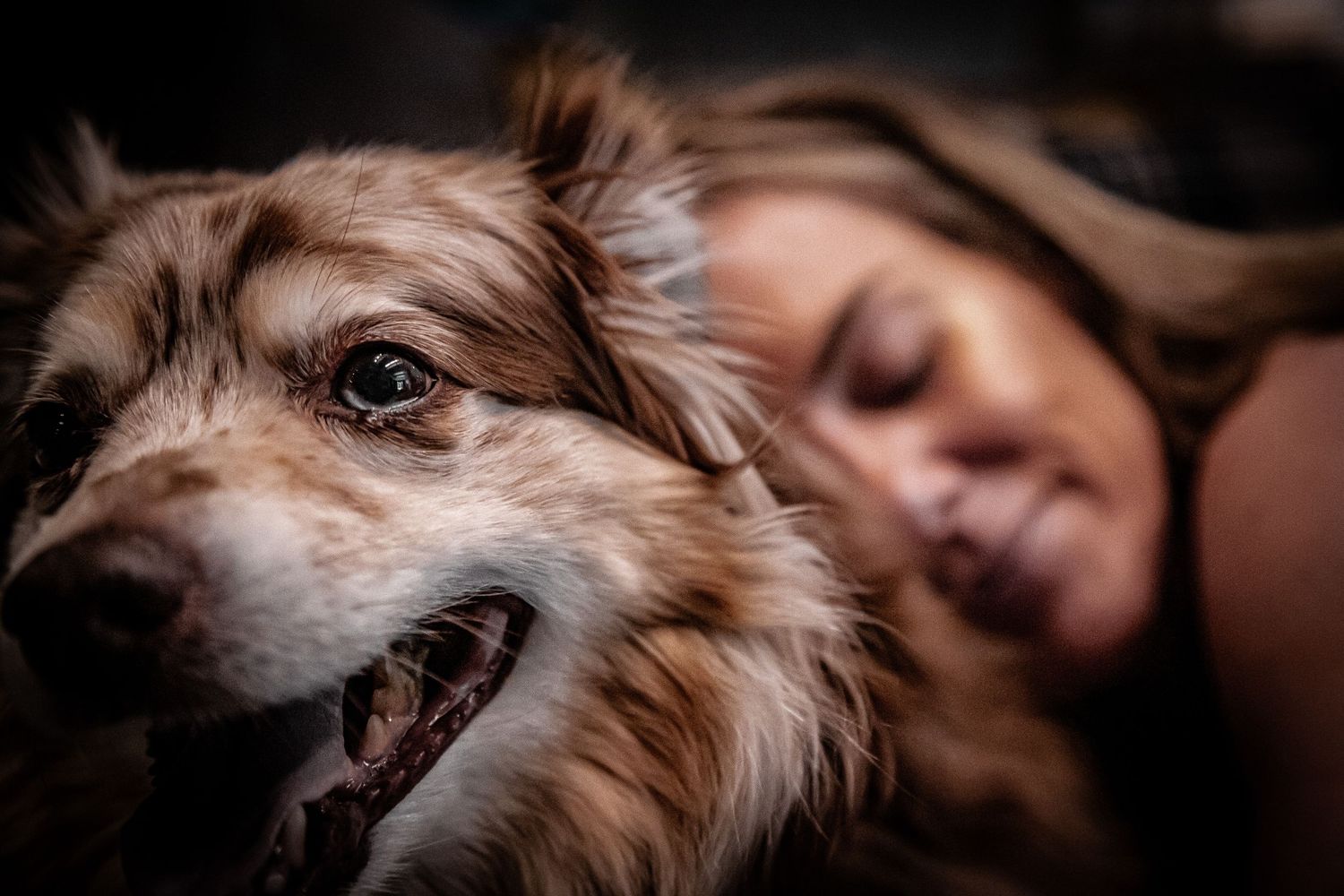 A woman rests her head beside a fluffy brown and white dog, sharing a tender moment in soft, cinematic, moody lighting.