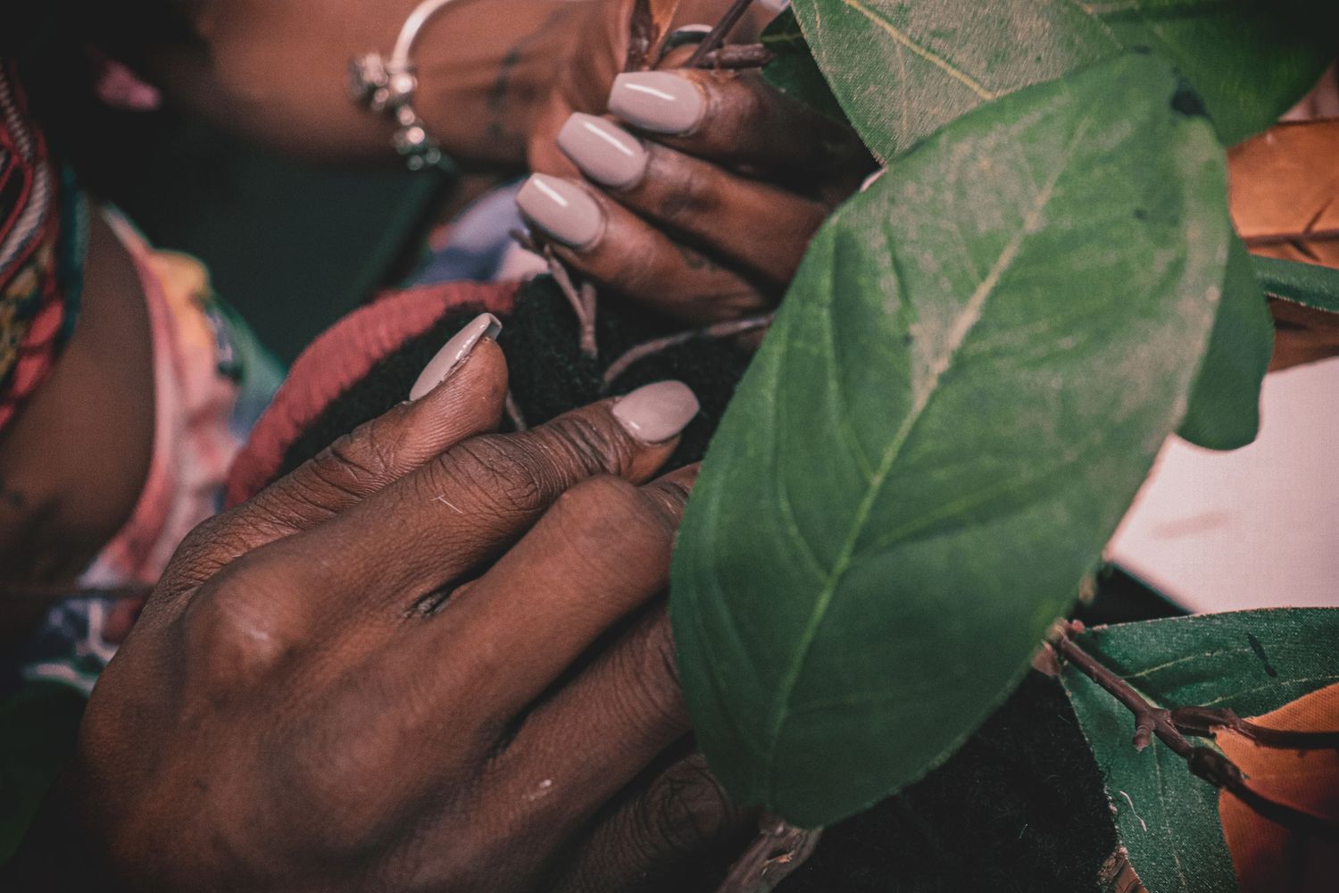 Close-up of two pairs of hands with manicured nails gently touching green tropical leaves together.