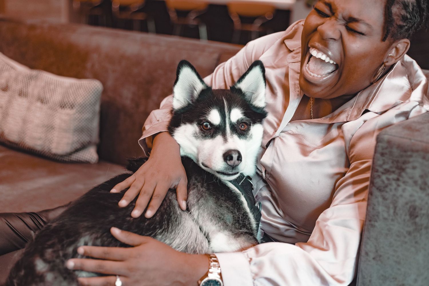 A laughing woman in pink hugs a small black and white Husky puppy on a couch.