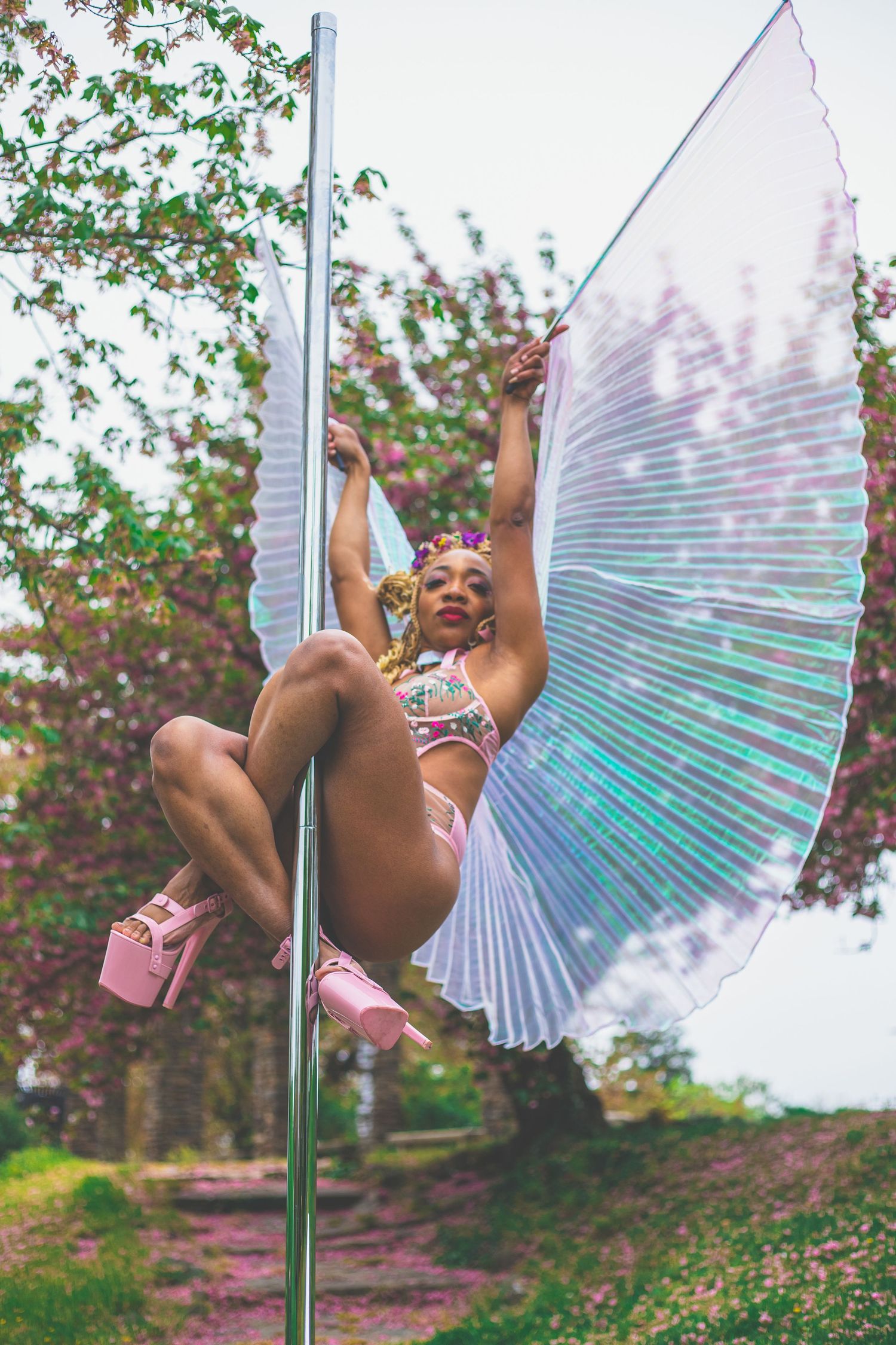 Pole dancer with iridescent butterfly wings performing outdoors near cherry blossom trees.