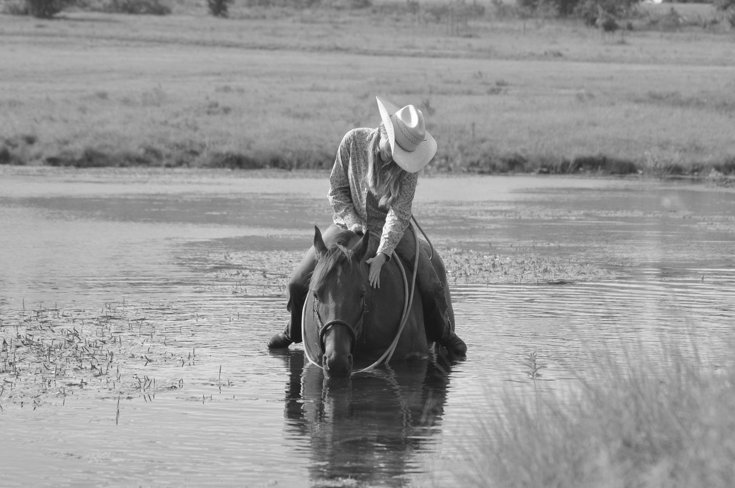 Rider pets horse while in pond