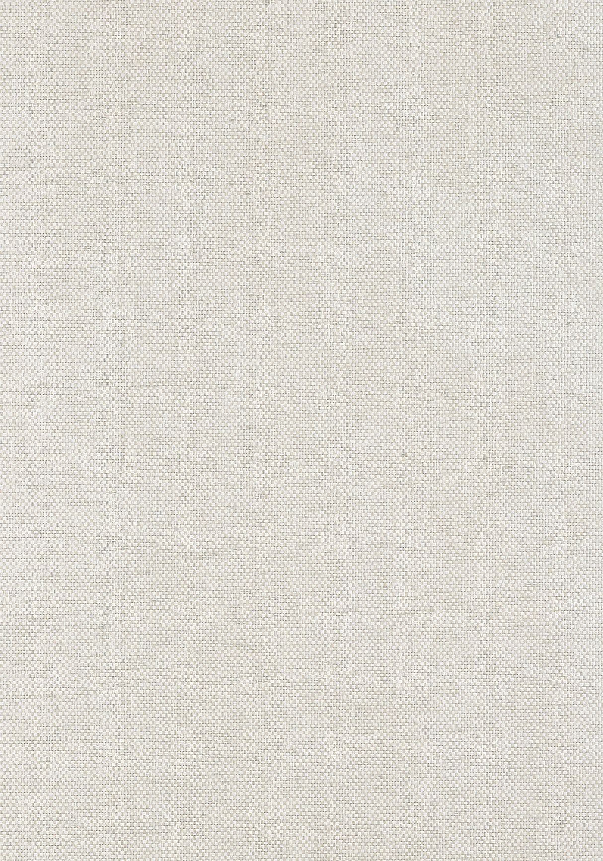 Close-up of a light beige woven textile fabric with a fine, uniform texture and subtle natural fiber pattern.