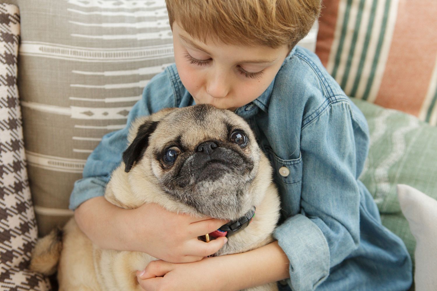 Young boy in denim shirt hugging a pug dog on a couch.