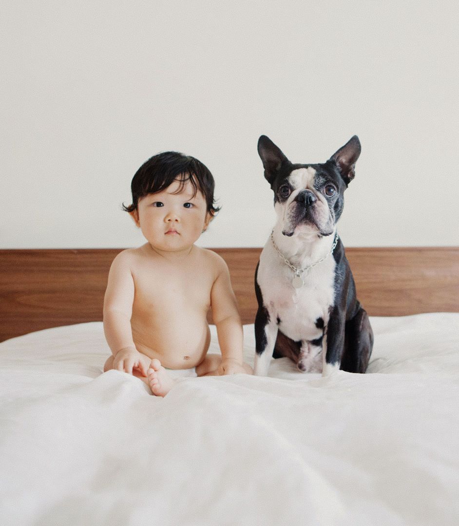A baby in a diaper sits beside a black and white Boston Terrier on a white bed.