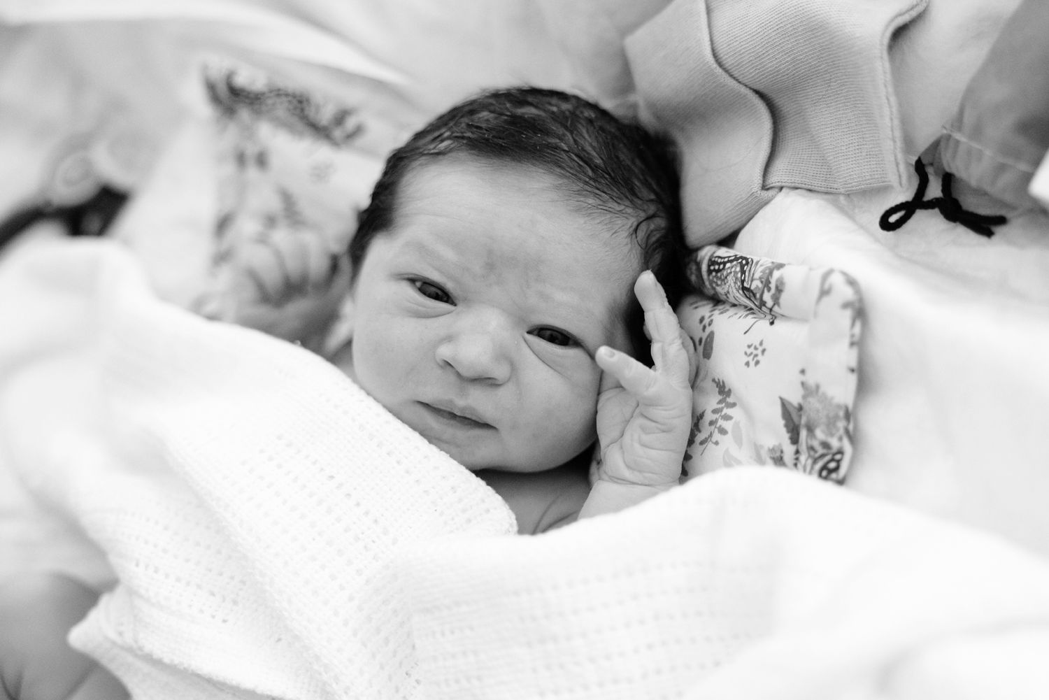 Close-up portrait of alert newborn baby wrapped in white blanket with hand raised near face.