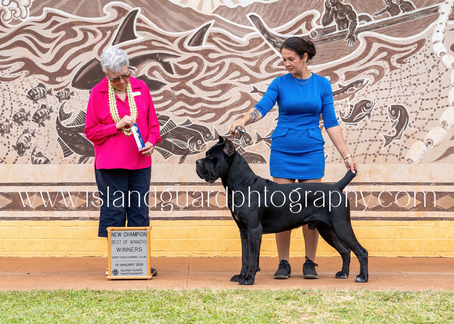 Two dogs and their handlers demonstrate obedience training exercises in an outdoor setting with a decorative wall background.