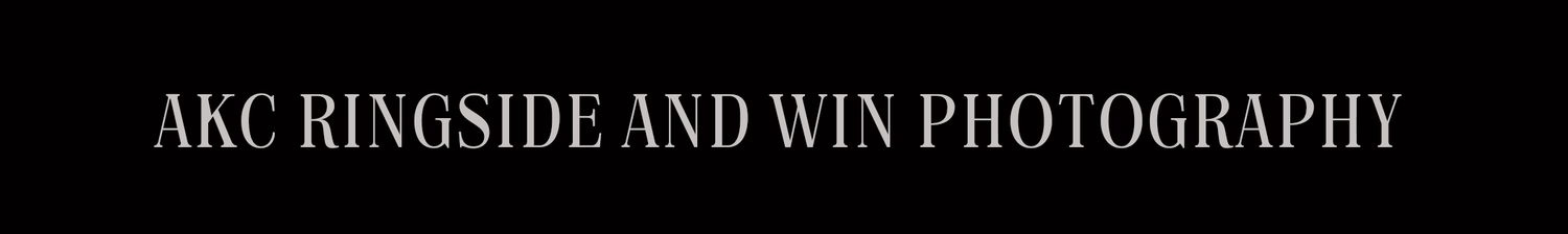 Black banner displaying AKC Ringside and Win Photography text in elegant white lettering on dark background.