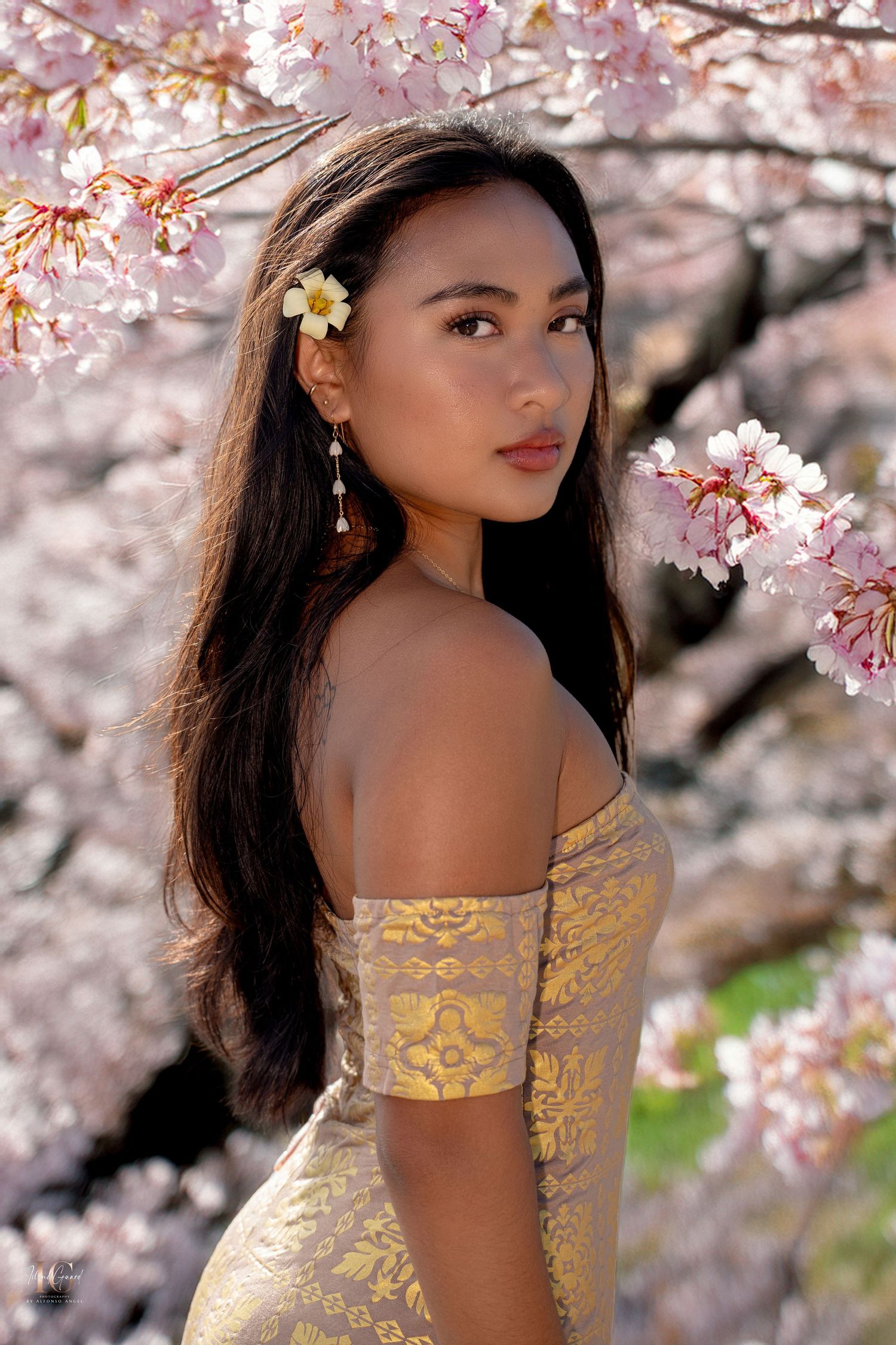 A yellow dress stands out against blooming cherry blossoms while a plumeria flower adorns long dark hair in spring.