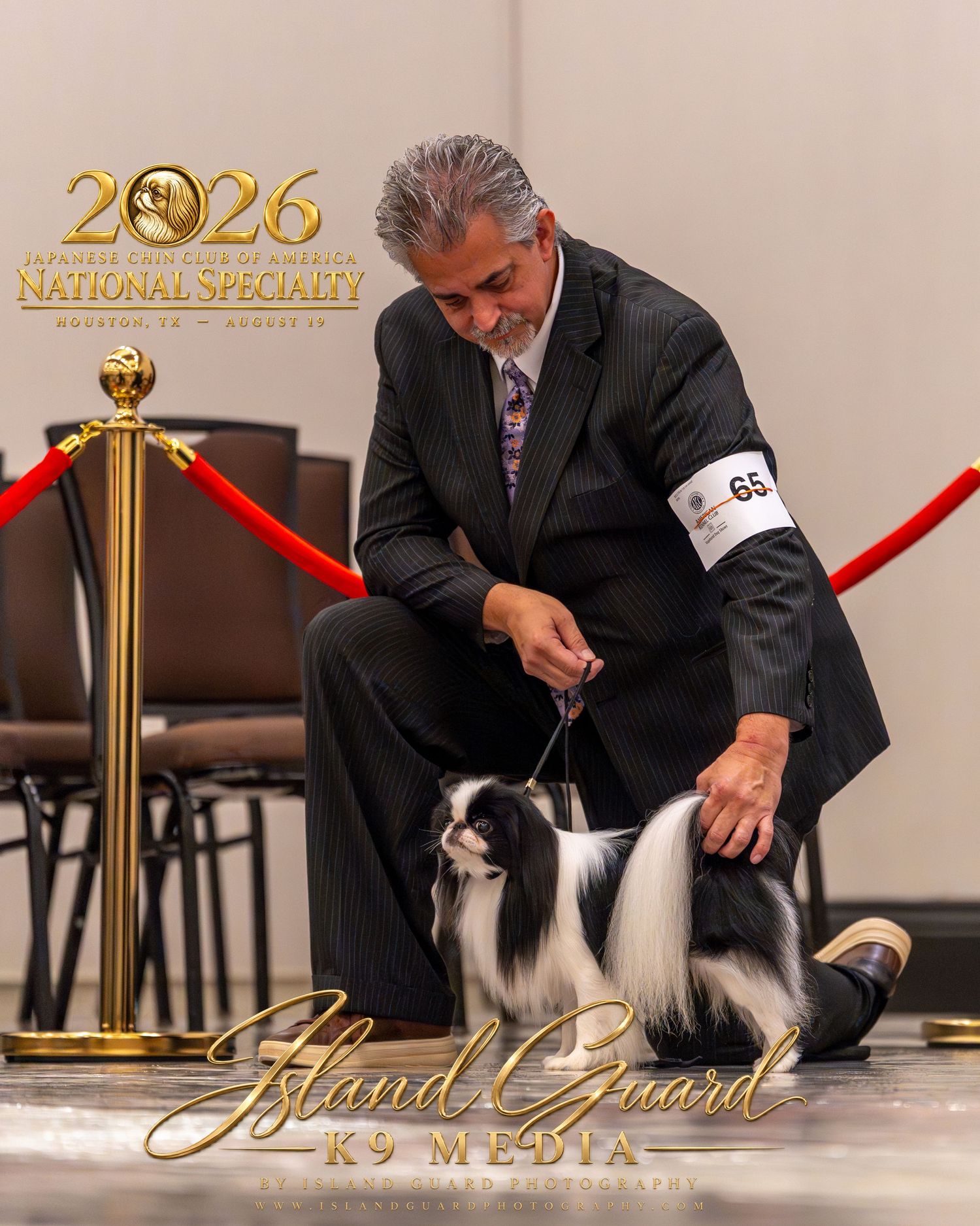 A handler presents a black and white Japanese Chin at the 2026 Japanese Chin of America National Specialty dog show.