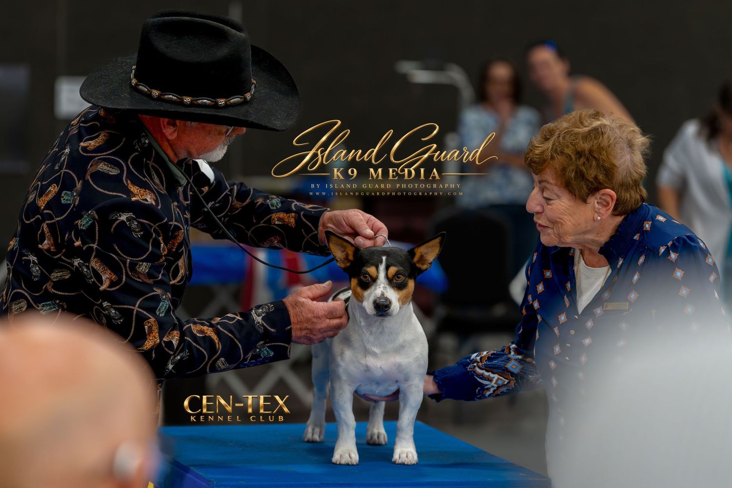 Handler and judge examine a tricolor dog at Cen-Tex Kennel Club show, Island Guard K9 Media.