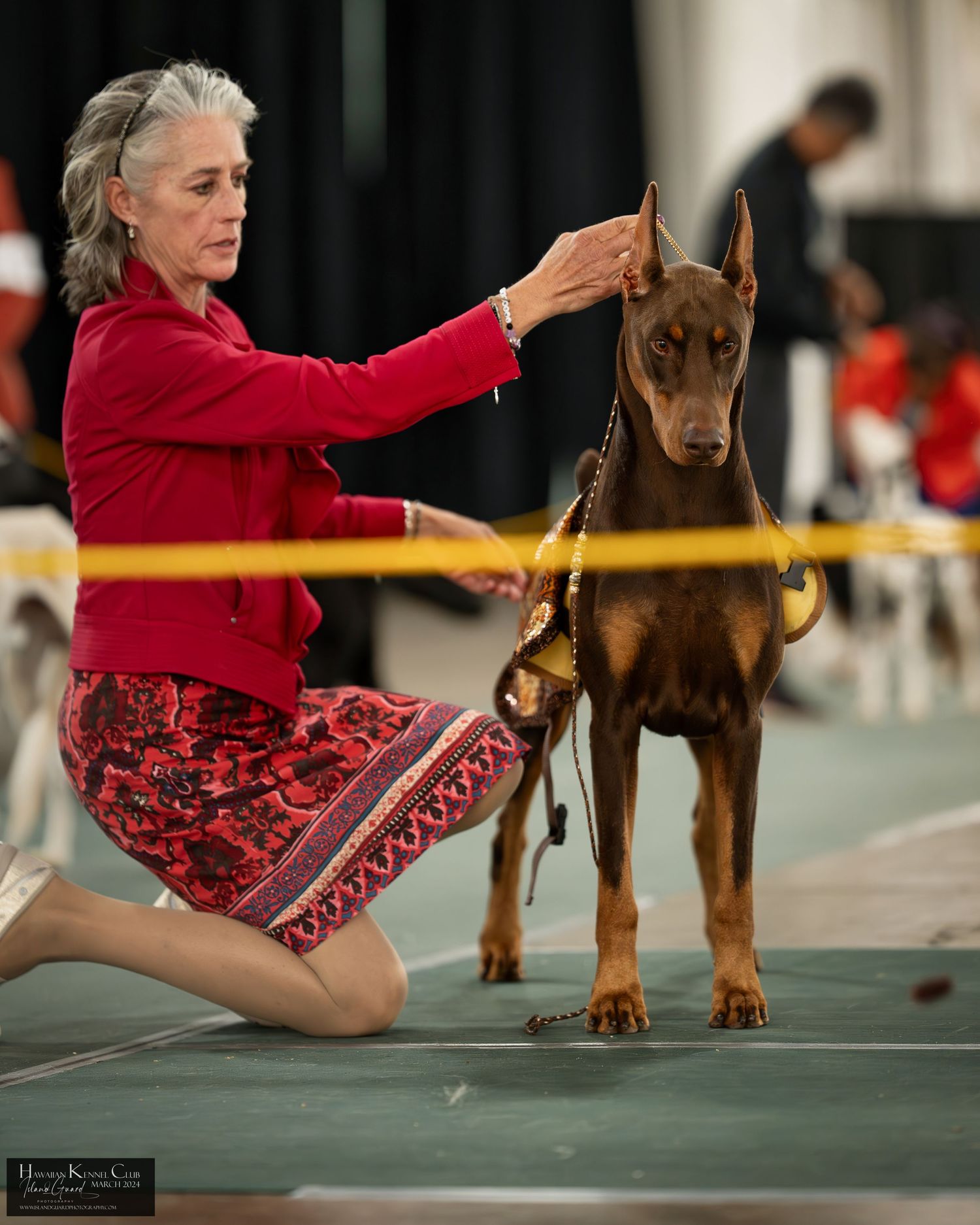 A woman in red kneels beside a Doberman Pinscher at a competitive dog show.