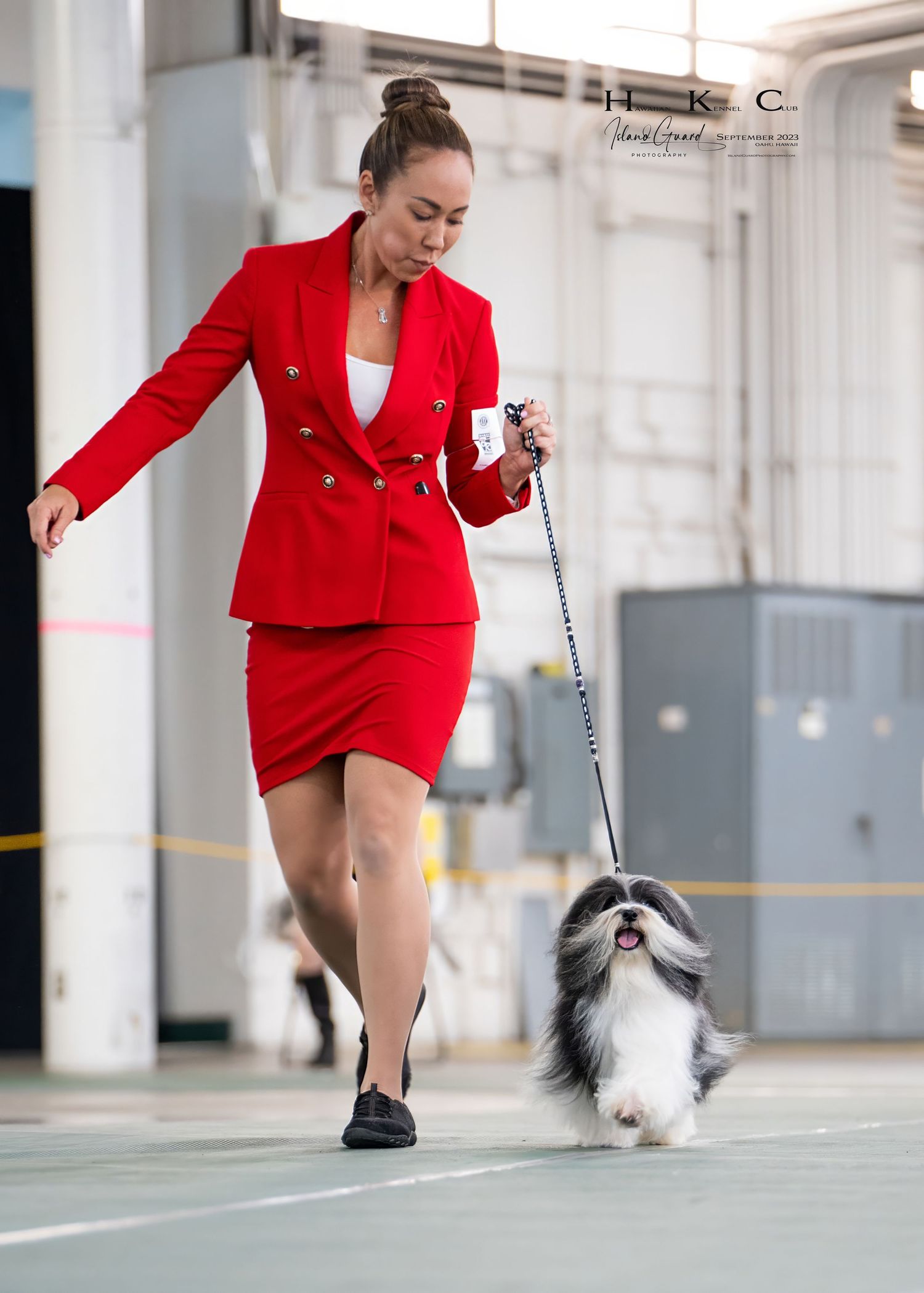 A person in a bright red blazer dress performs agility training with a small black and white dog in an indoor space.