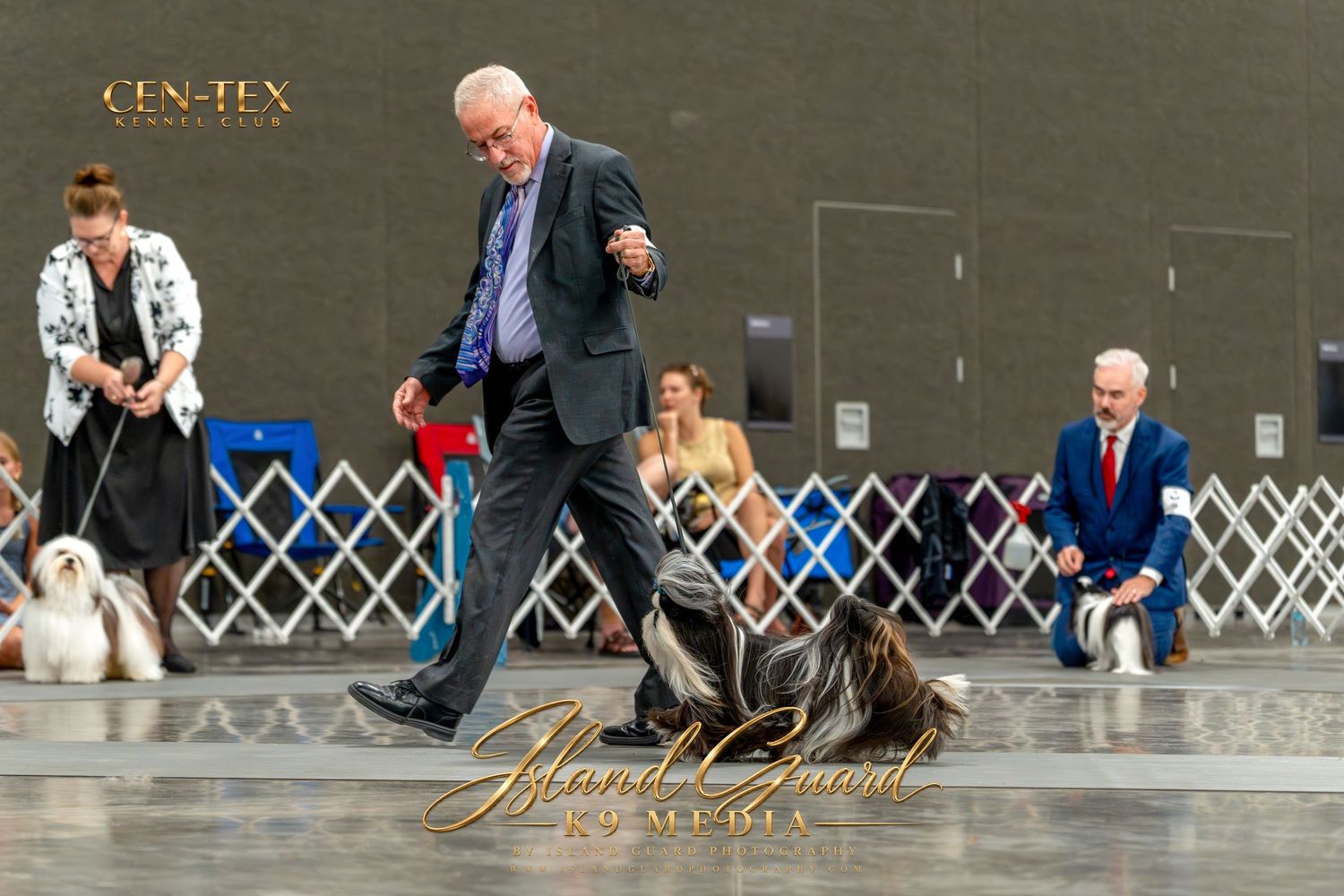 Handler gaiting an Afghan Hound at an indoor dog show competition, with judges and other exhibitors visible in the background.
