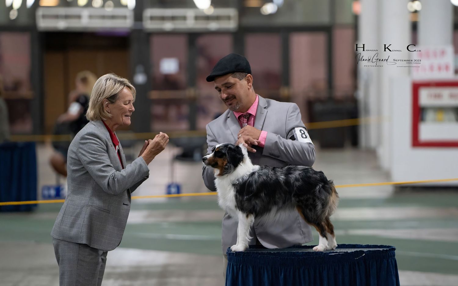 A dog handler presents a Border Collie on an elevated platform while a judge evaluates at an indoor competition.