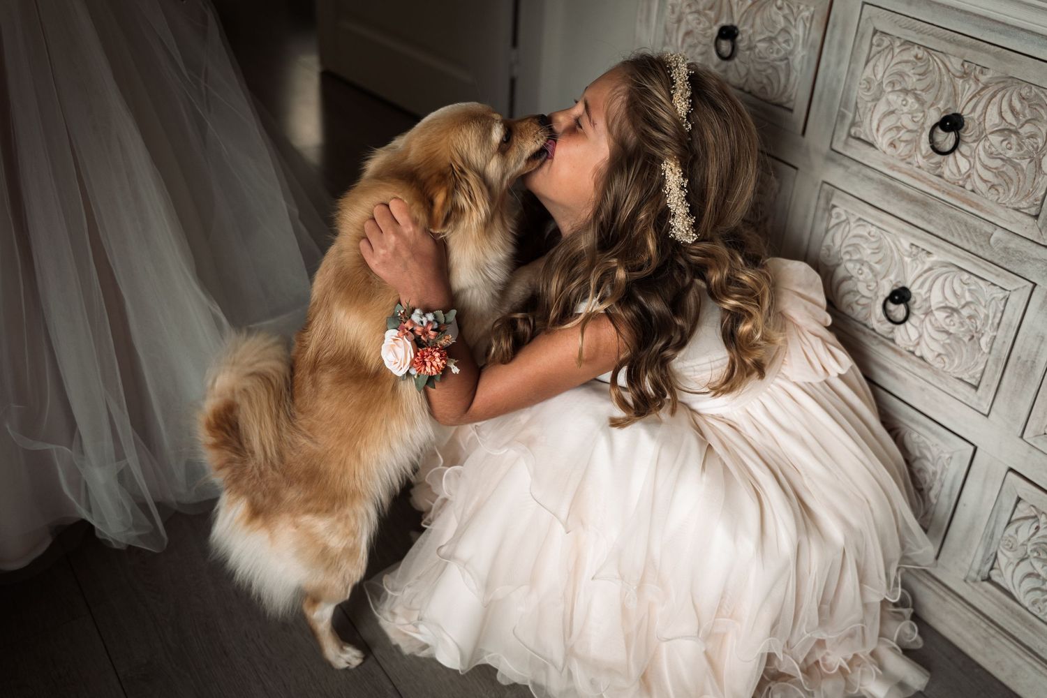 A golden retriever dog and person in white dress sit together in a romantic photoshoot setting.