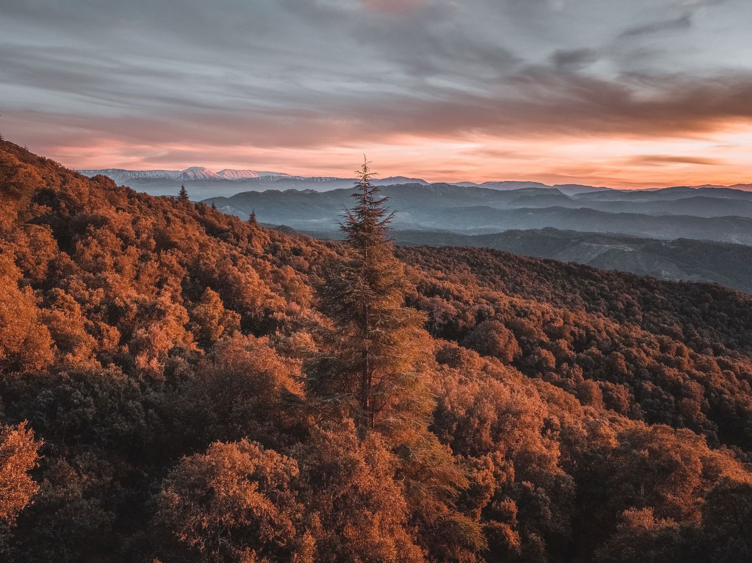 Stunning panoramic view of misty mountain ridges covered in autumn foliage during a vibrant orange sunset.