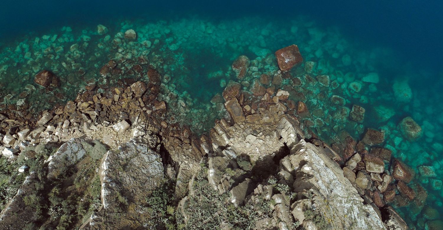 A vibrant underwater coral reef scene with colorful fish swimming among the coral formations and marine life.