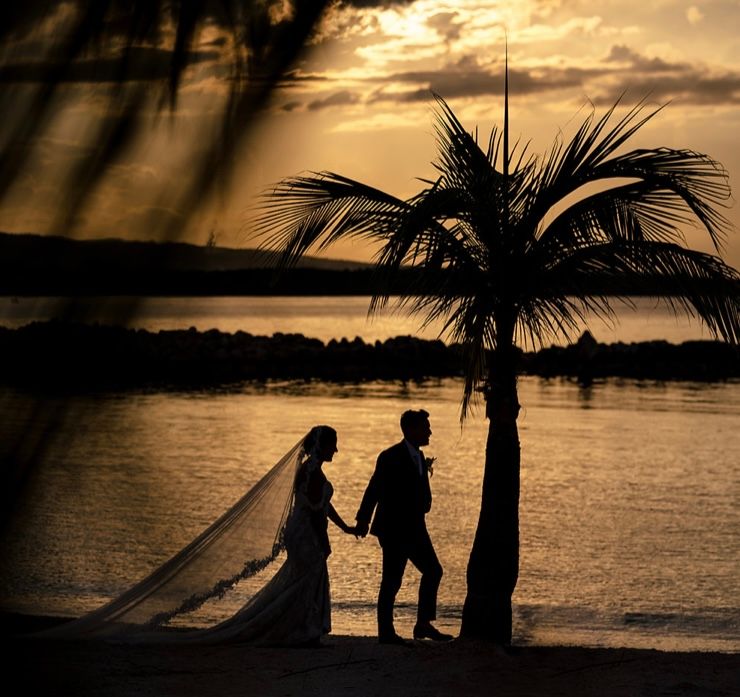 Silhouetted couple holding hands by palm tree during golden sunset over water.