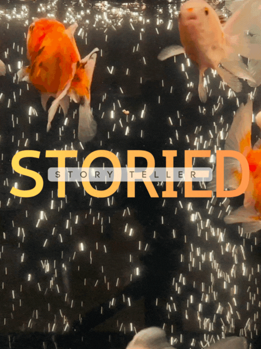 STORIED.studio - by Eva Q logo