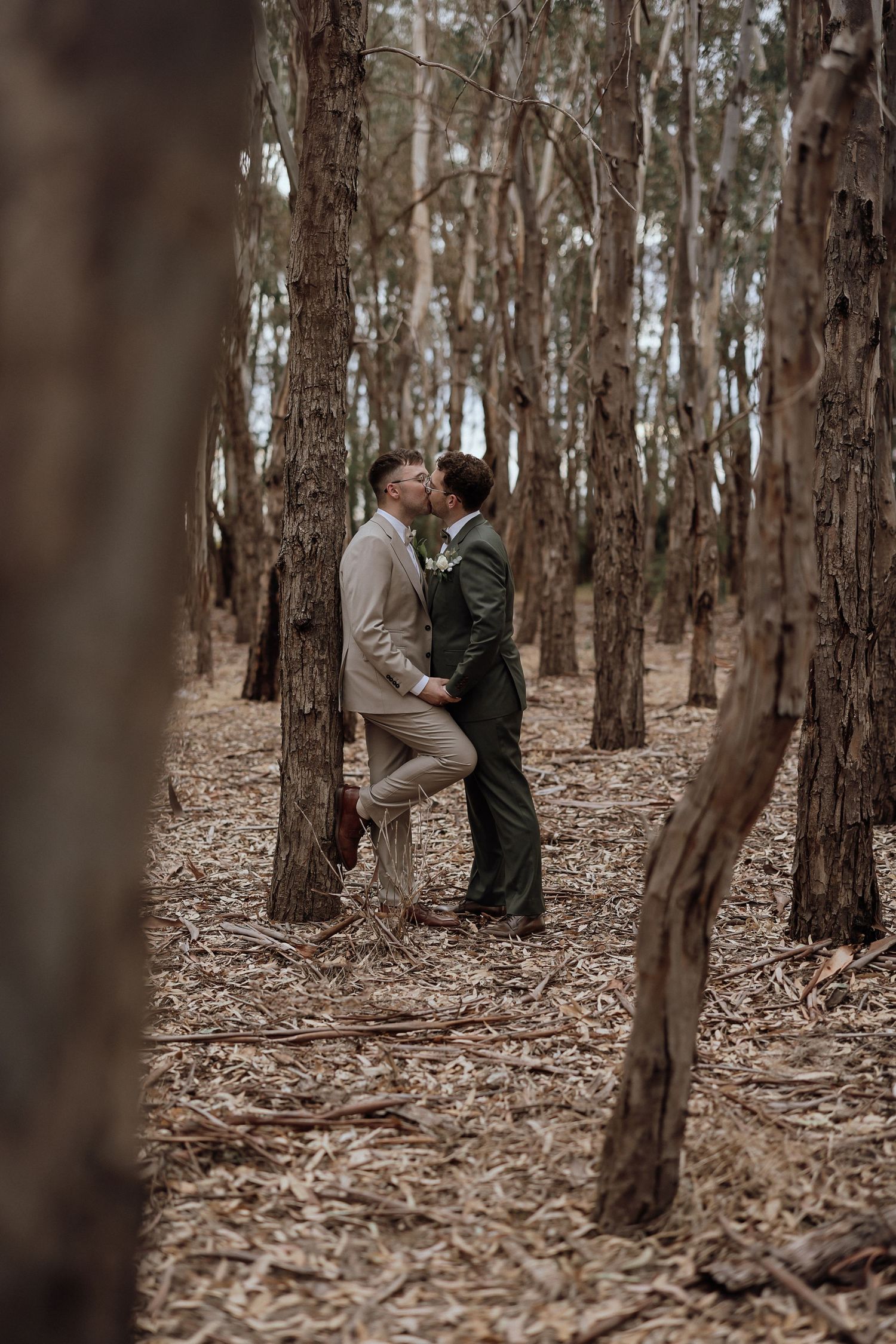 A couple shares an intimate moment while standing among tall eucalyptus trees in a forest setting.