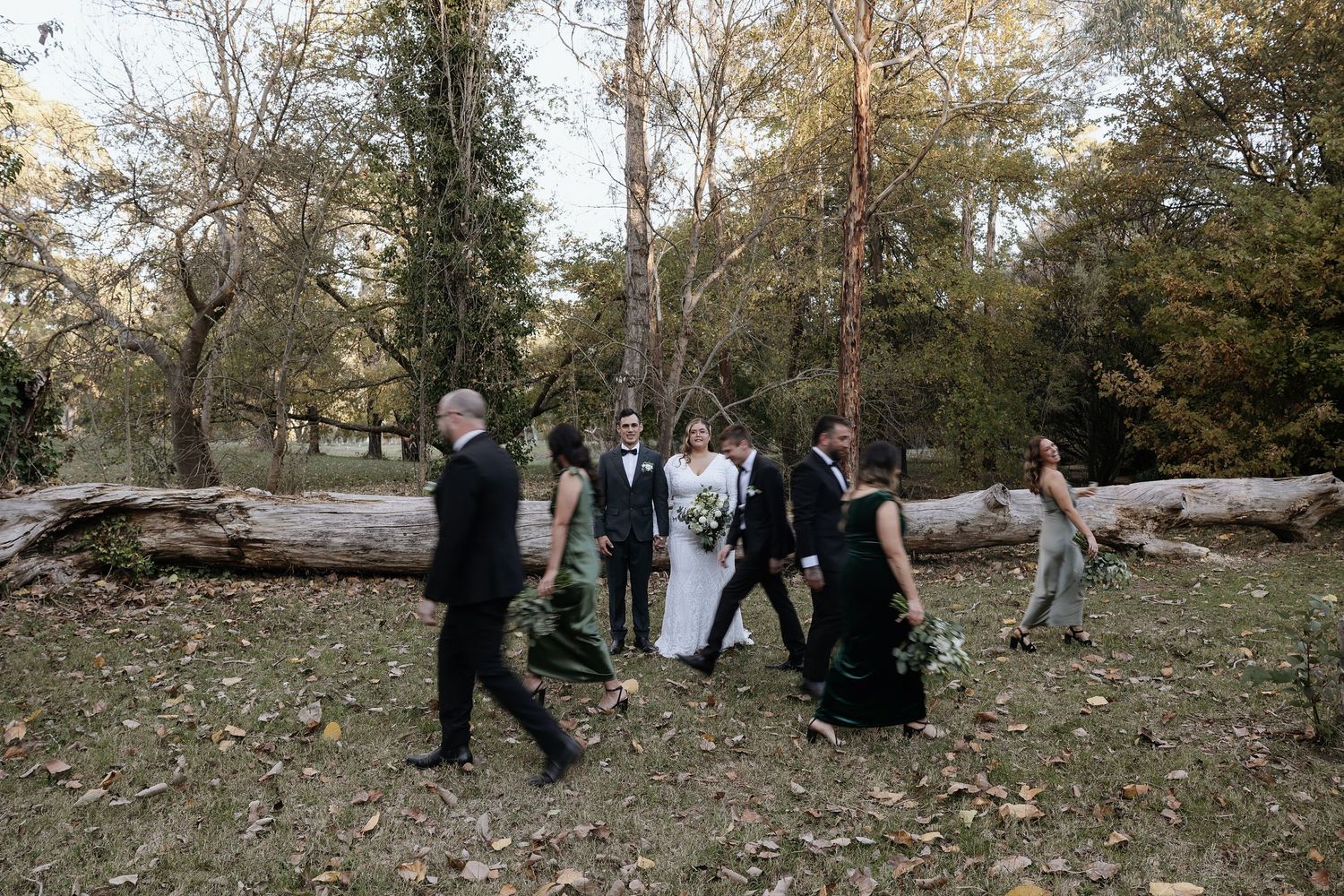 A wedding party walks through a wooded area with fallen logs and autumn trees in the background.
